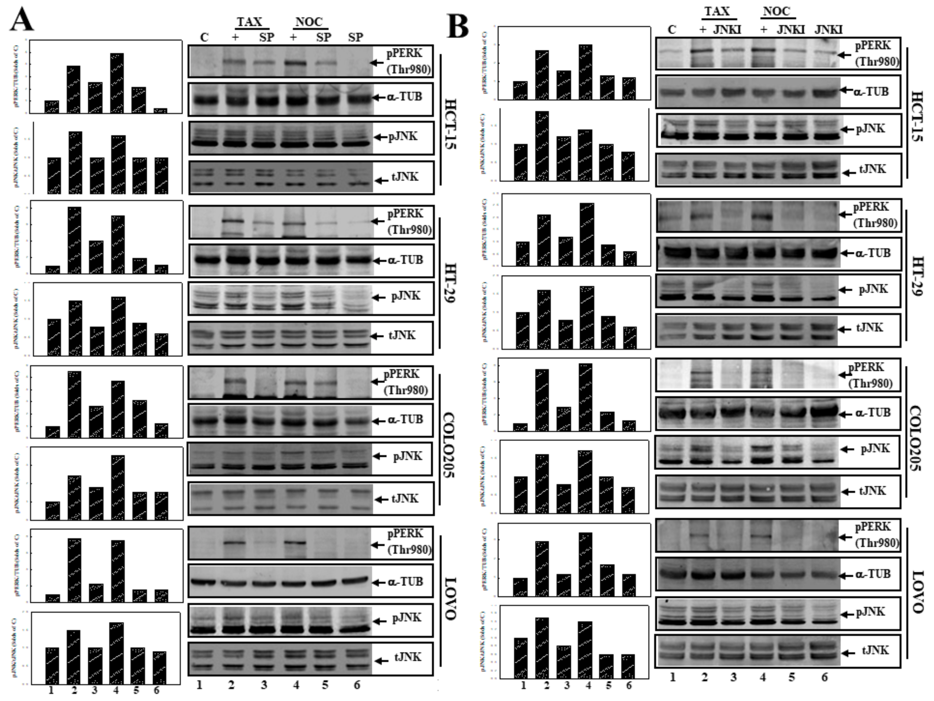 Cancers 12 00097 g005