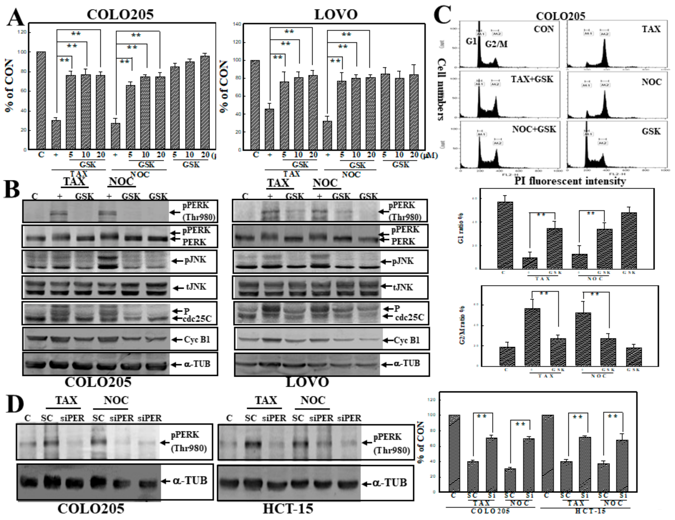 Cancers 12 00097 g006