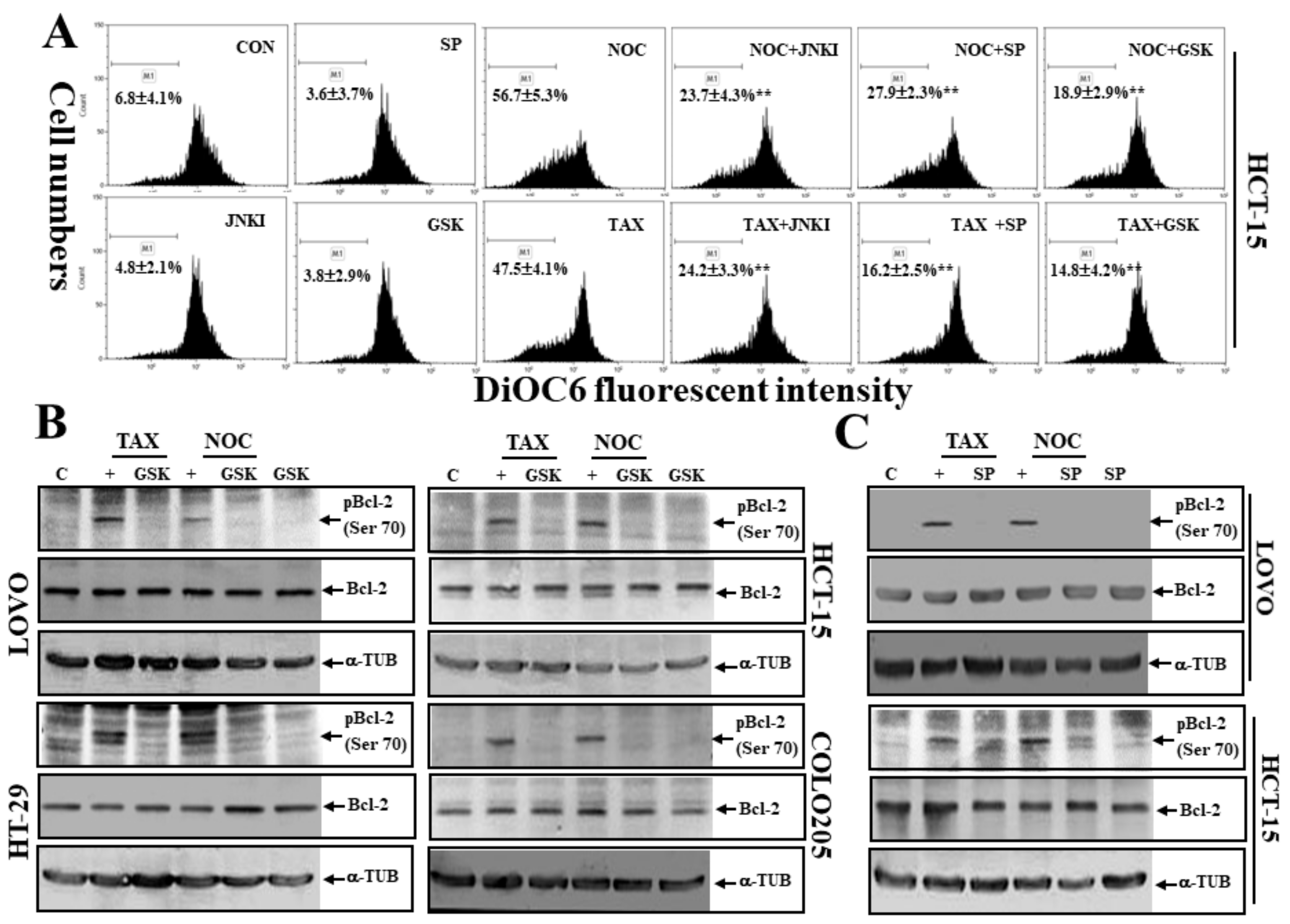 Cancers 12 00097 g007