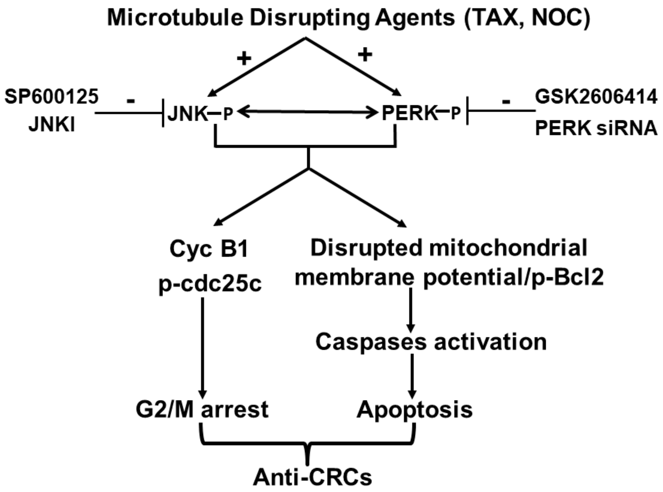 Cancers 12 00097 g008