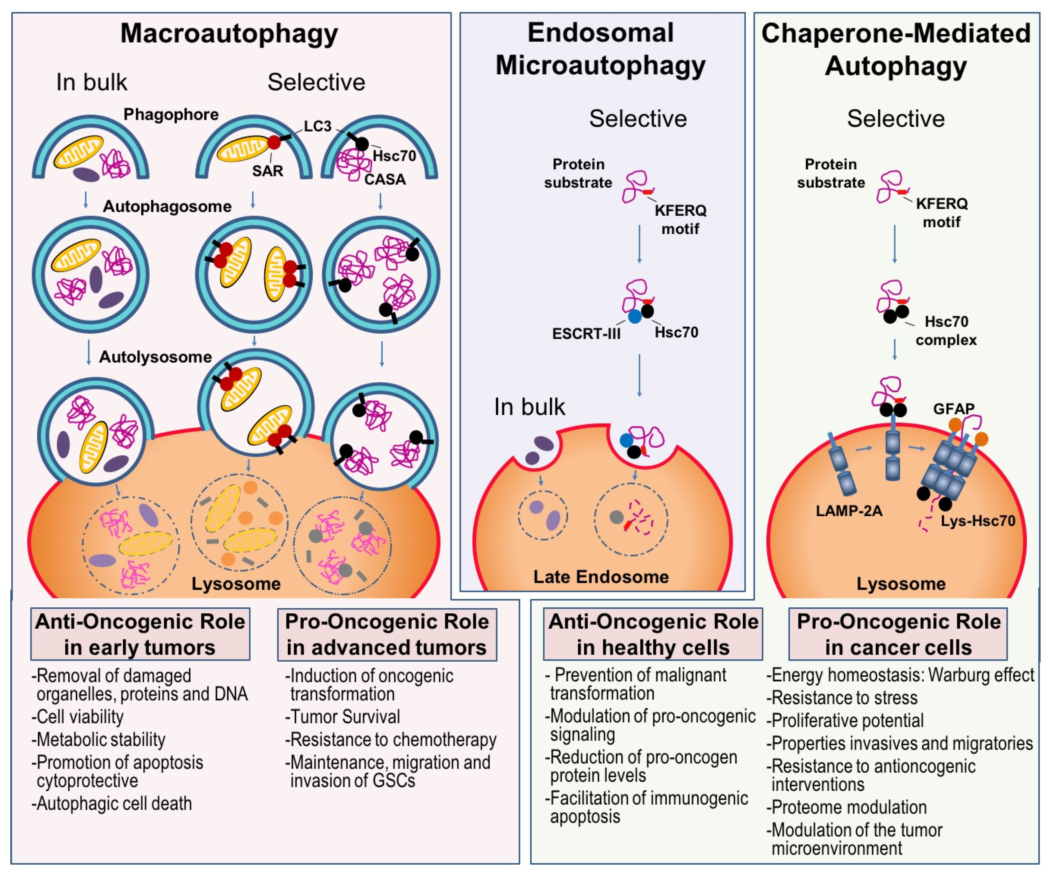 Cancers 12 00102 g001 Cancers 12 00102 g001