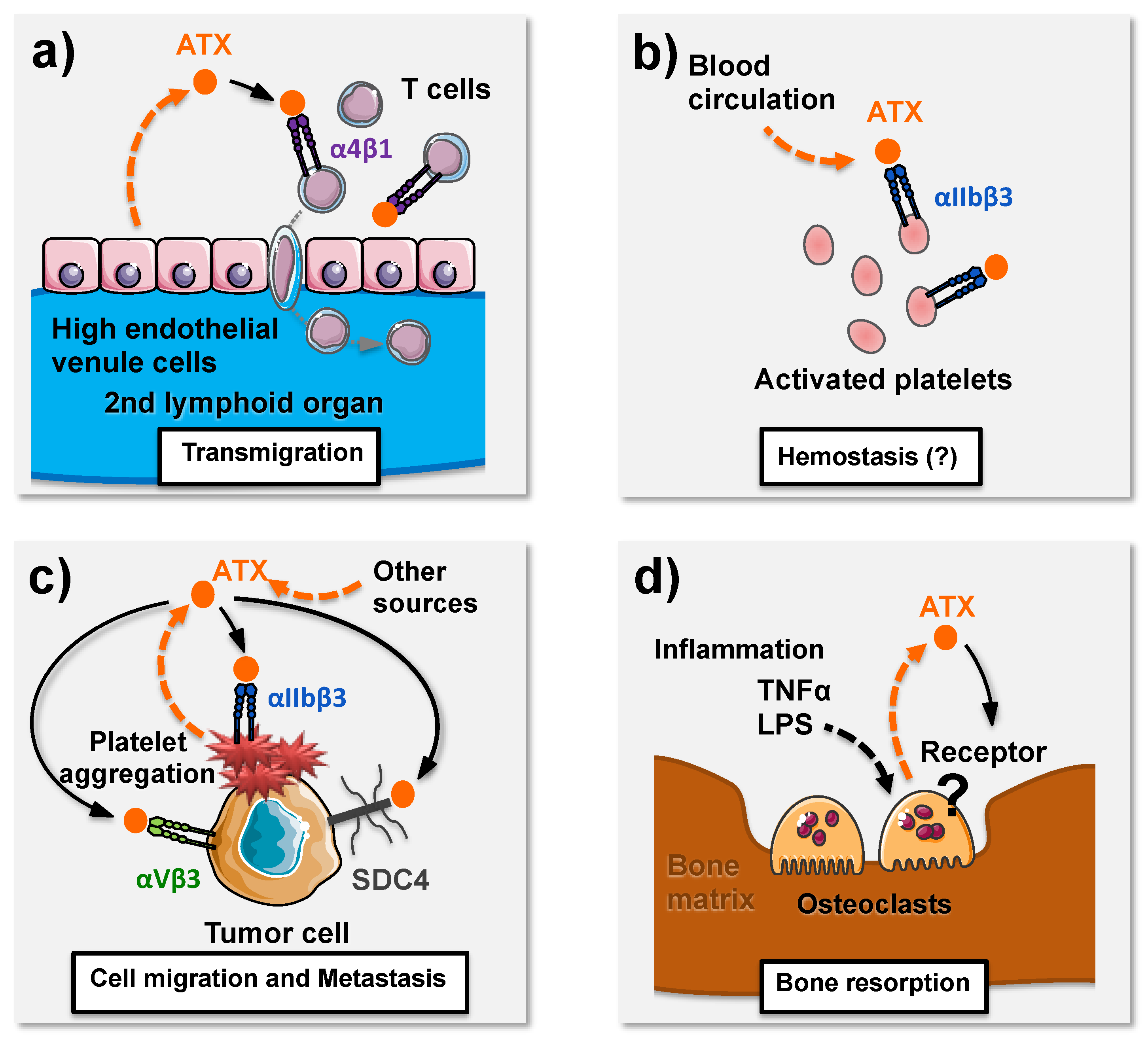 Cancers 12 00105 g003 Cancers 12 00105 g003