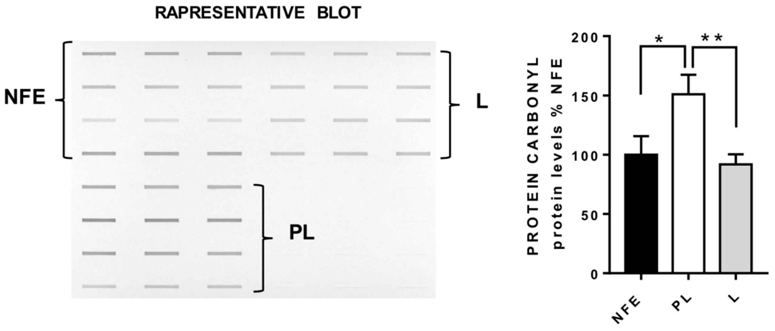 Cancers 12 00110 g003 Cancers 12 00110 g003