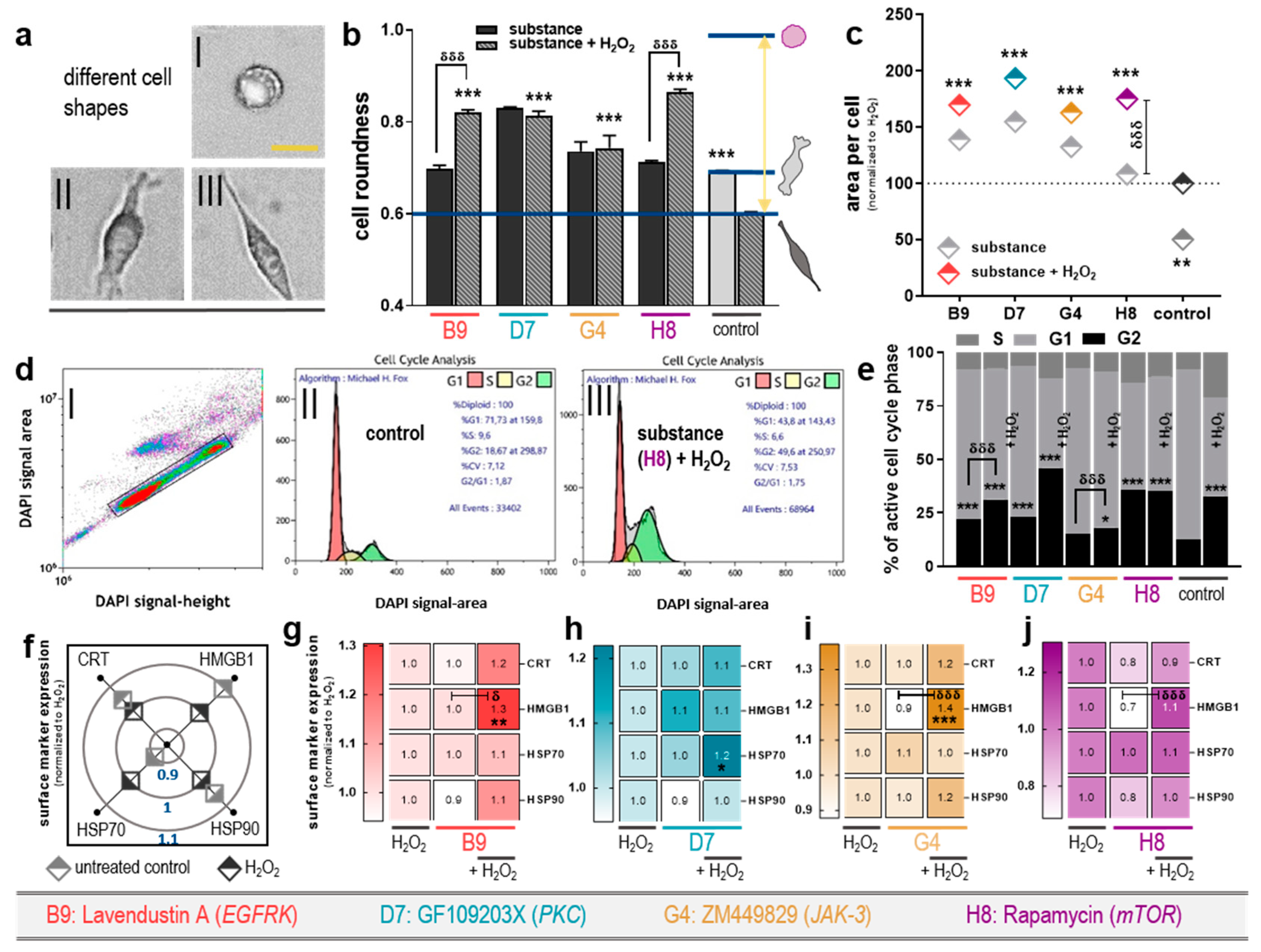 Cancers 12 00122 g003 Cancers 12 00122 g003