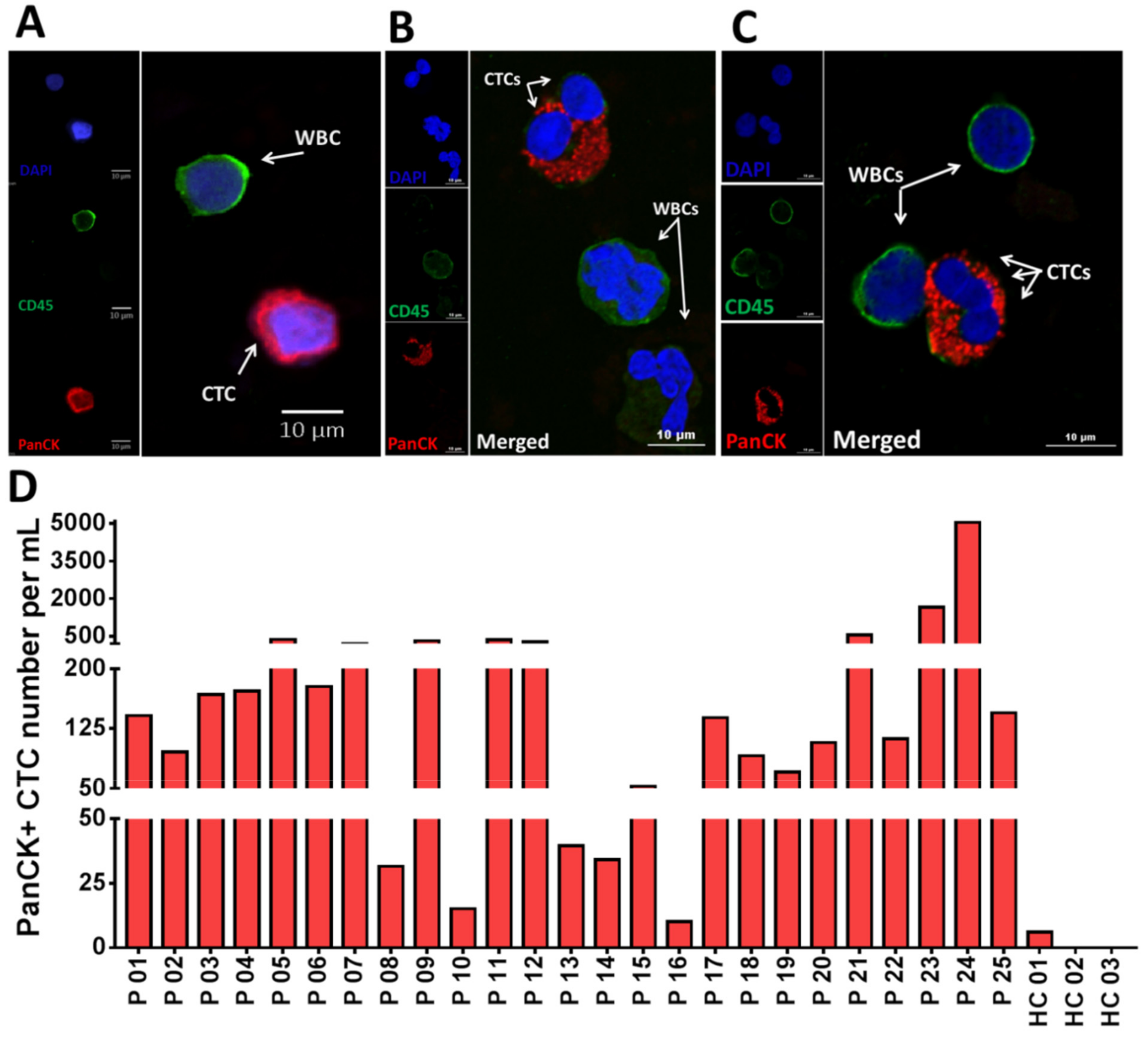 Cancers 12 00127 g002 Cancers 12 00127 g002