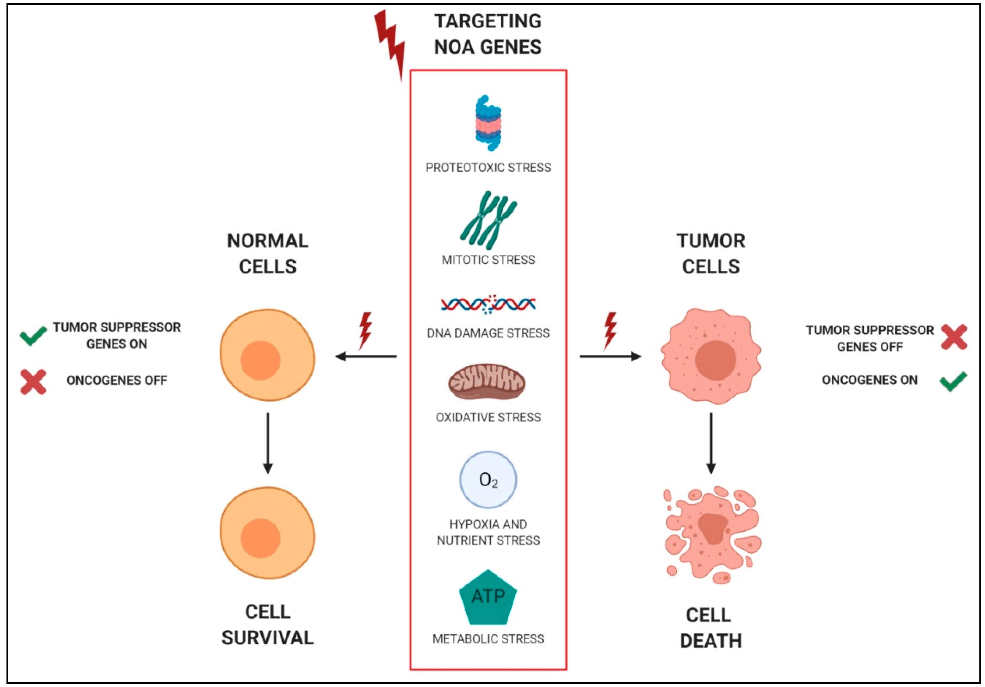 Cancers 12 00129 g001 Cancers 12 00129 g001