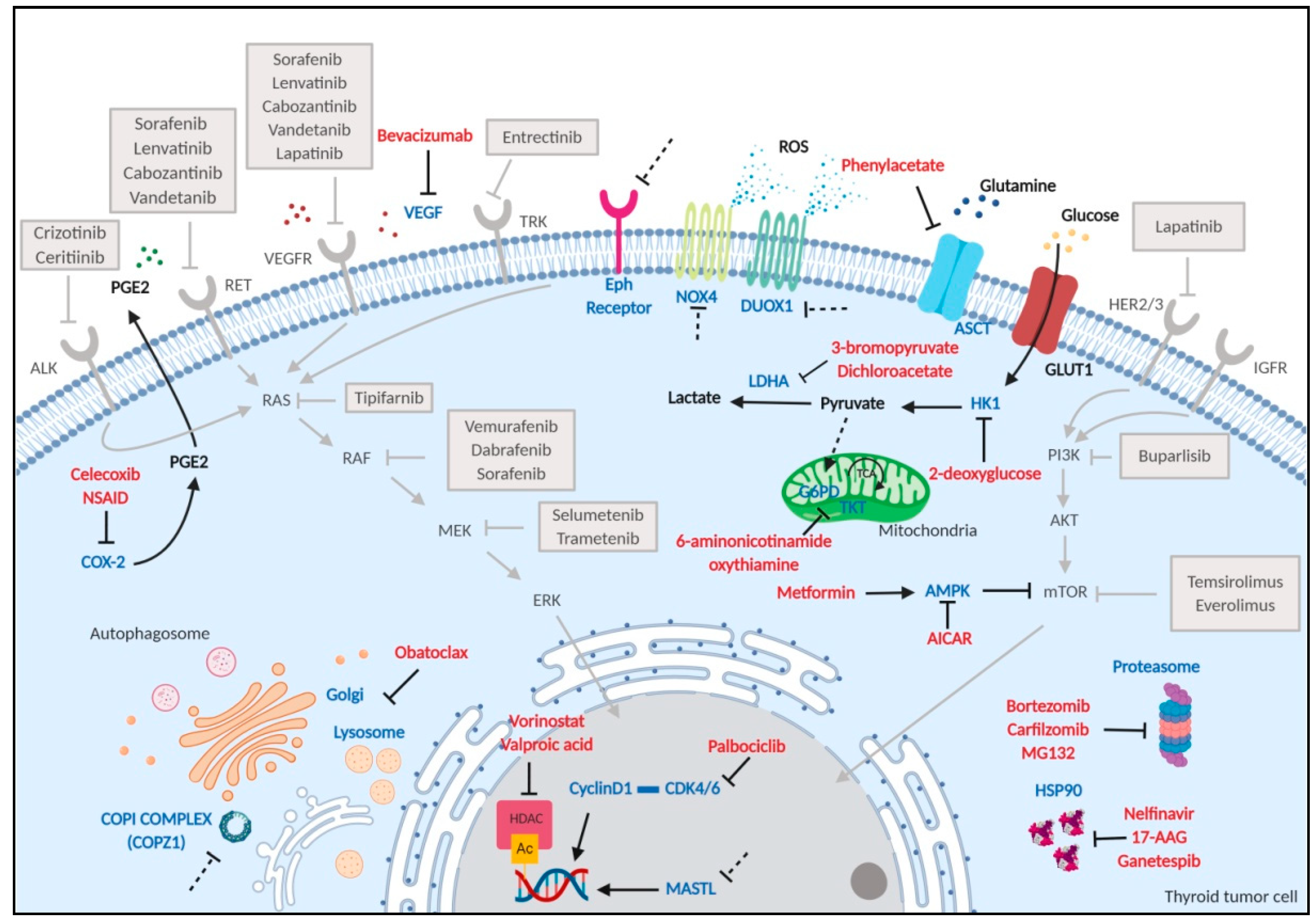 Cancers 12 00129 g003 Cancers 12 00129 g003