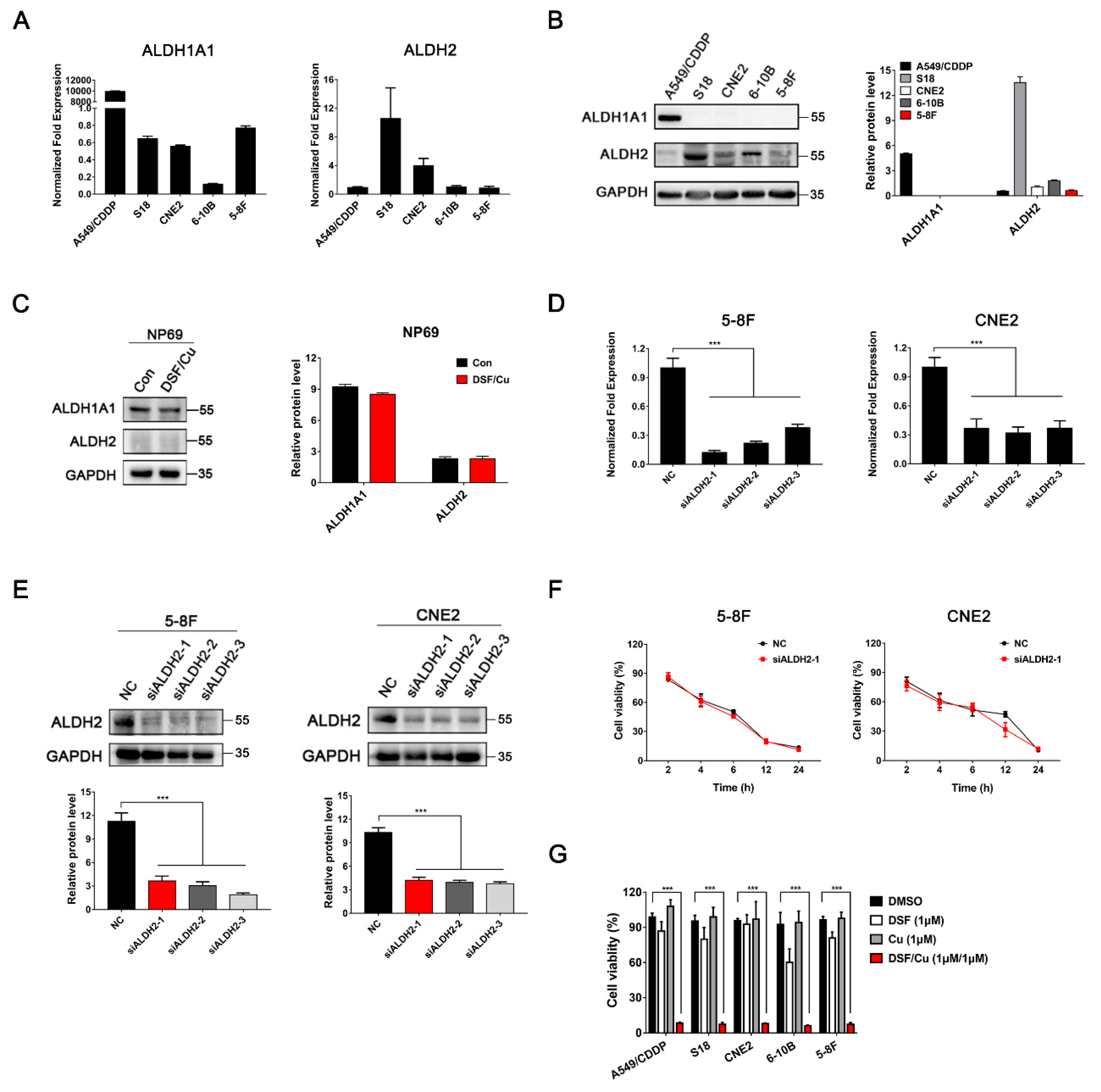 Cancers 12 00138 g003 Cancers 12 00138 g003
