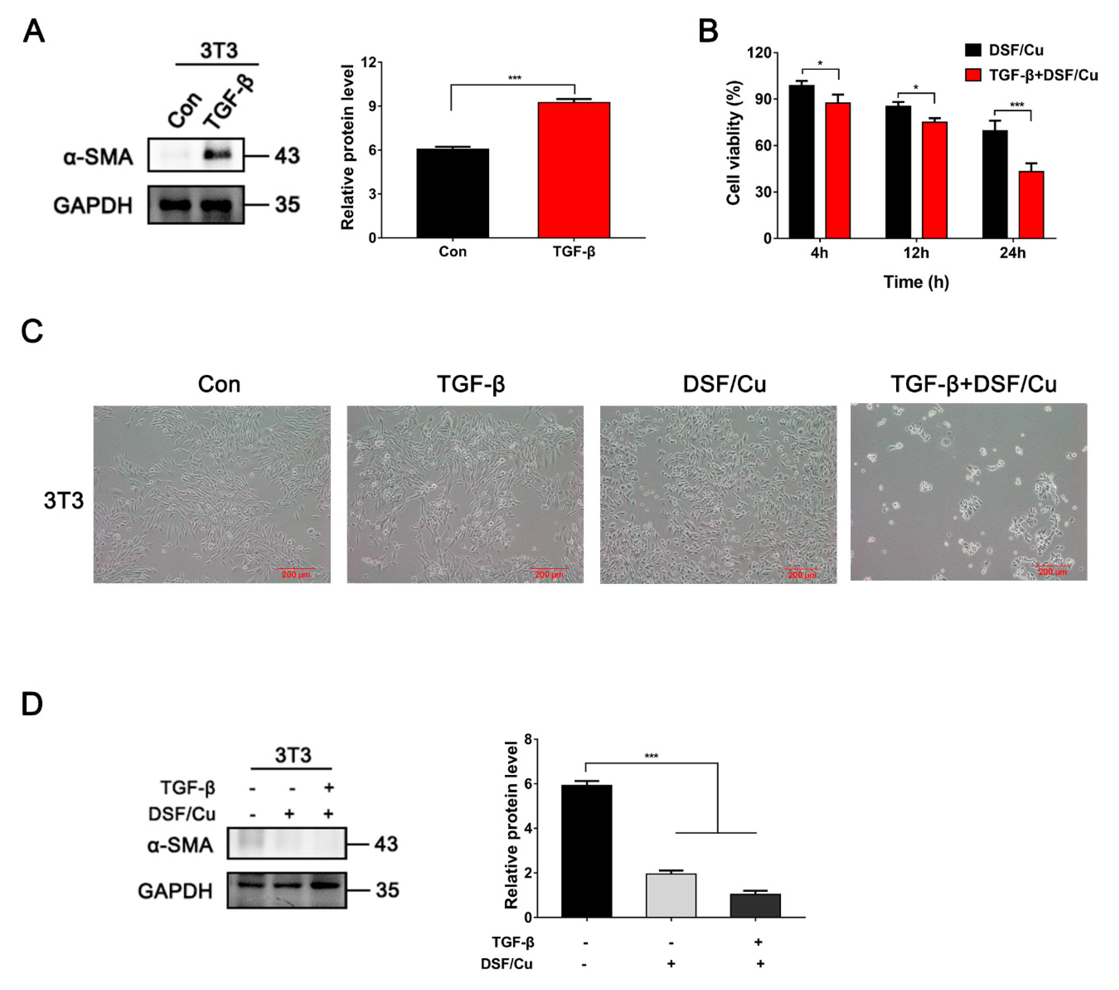 Cancers 12 00138 g007 Cancers 12 00138 g007
