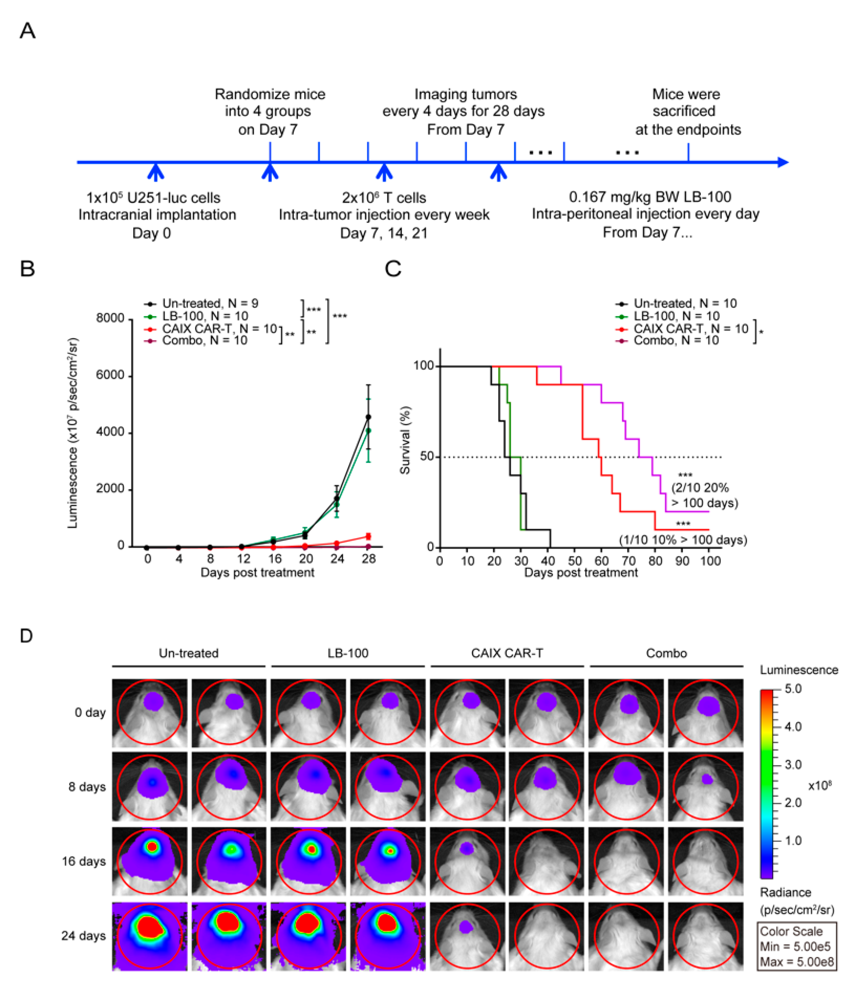 Cancers 12 00139 g003