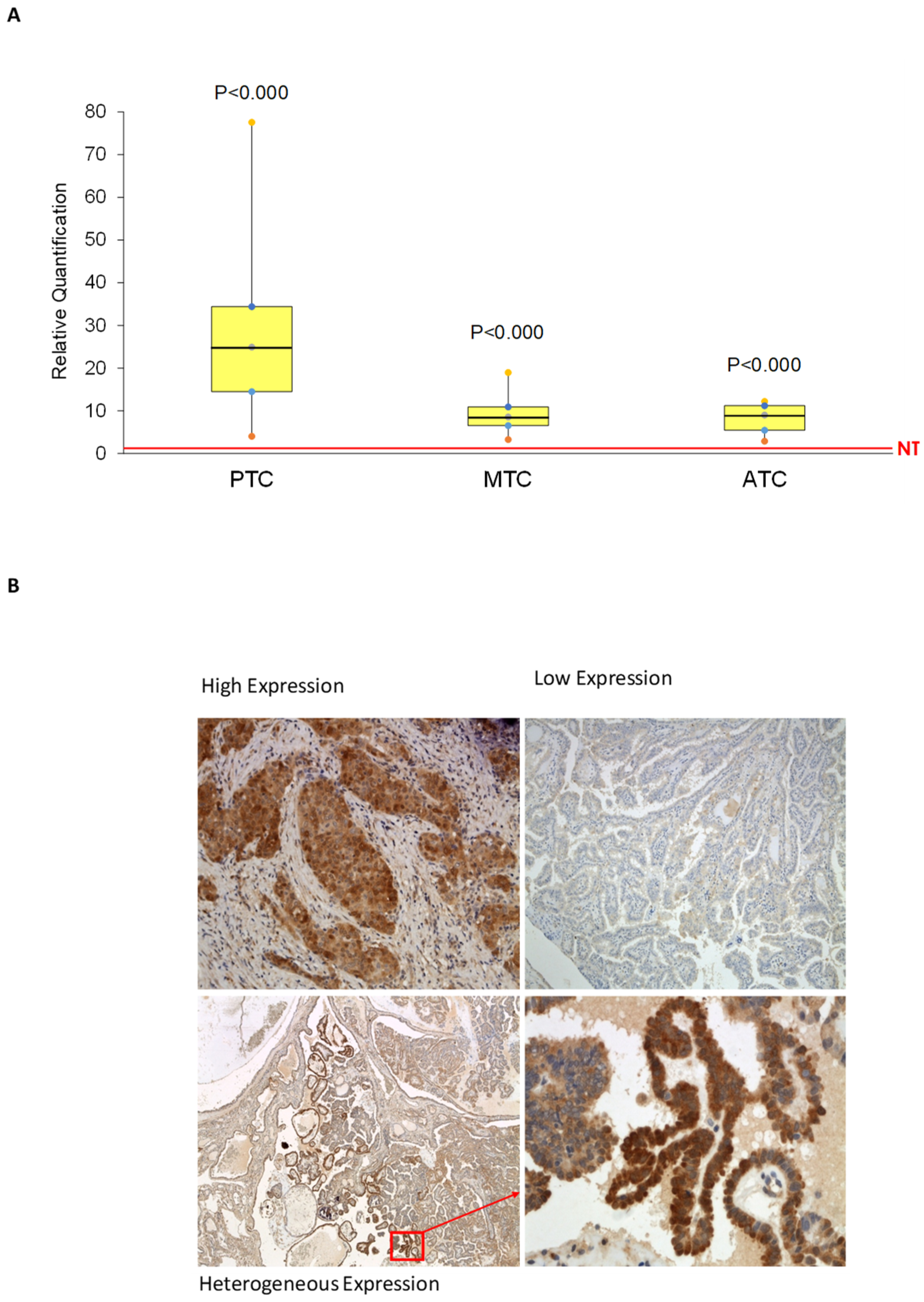 Cancers 12 00145 g001