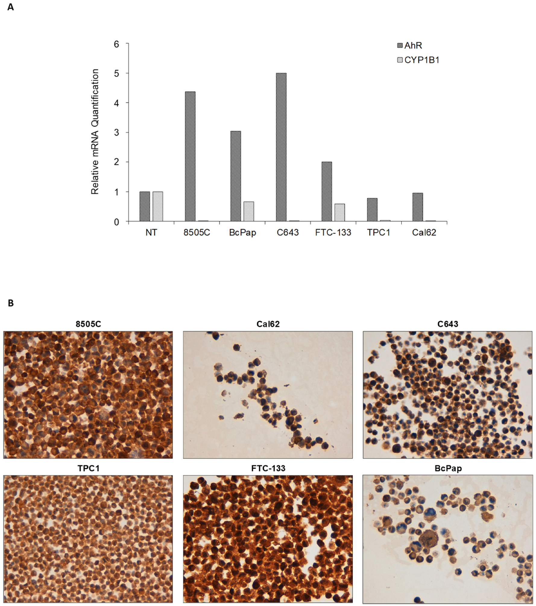 Cancers 12 00145 g003