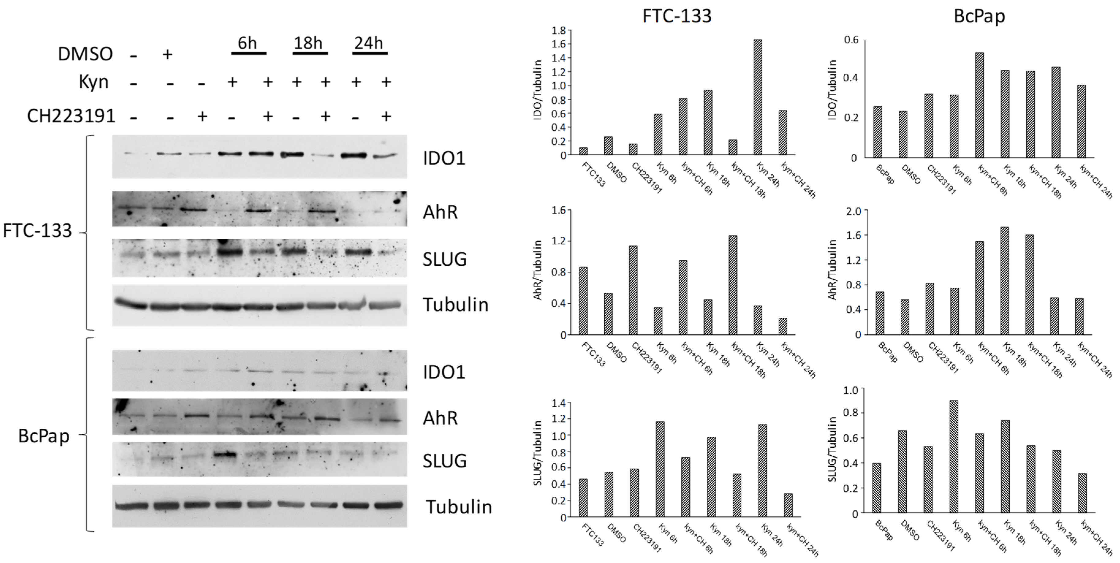 Cancers 12 00145 g007