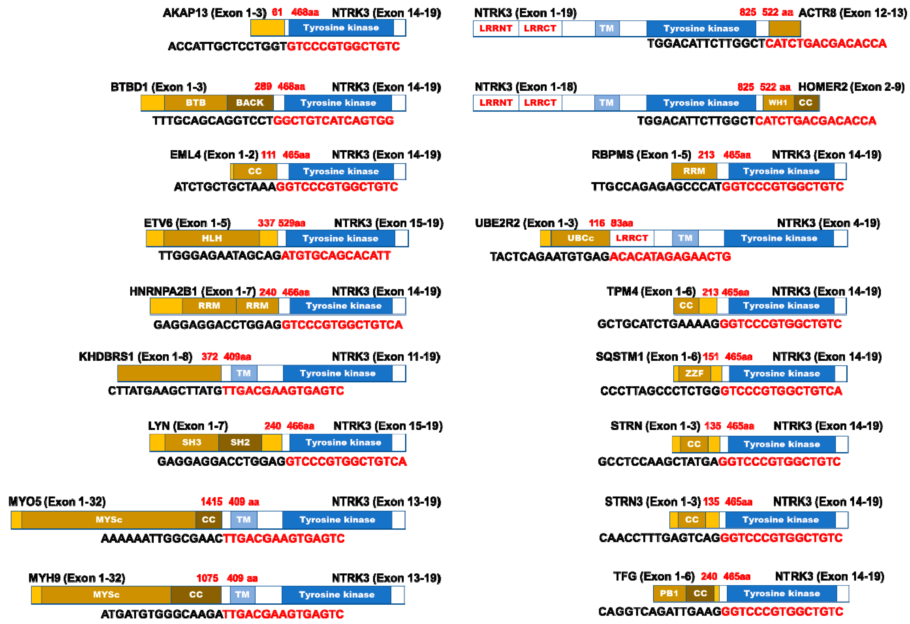 Cancers 12 00147 g002