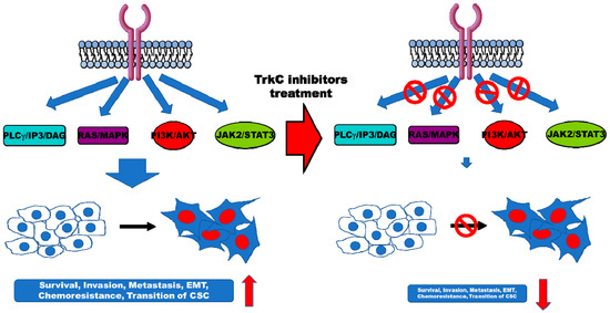 Cancers 12 00147 g003