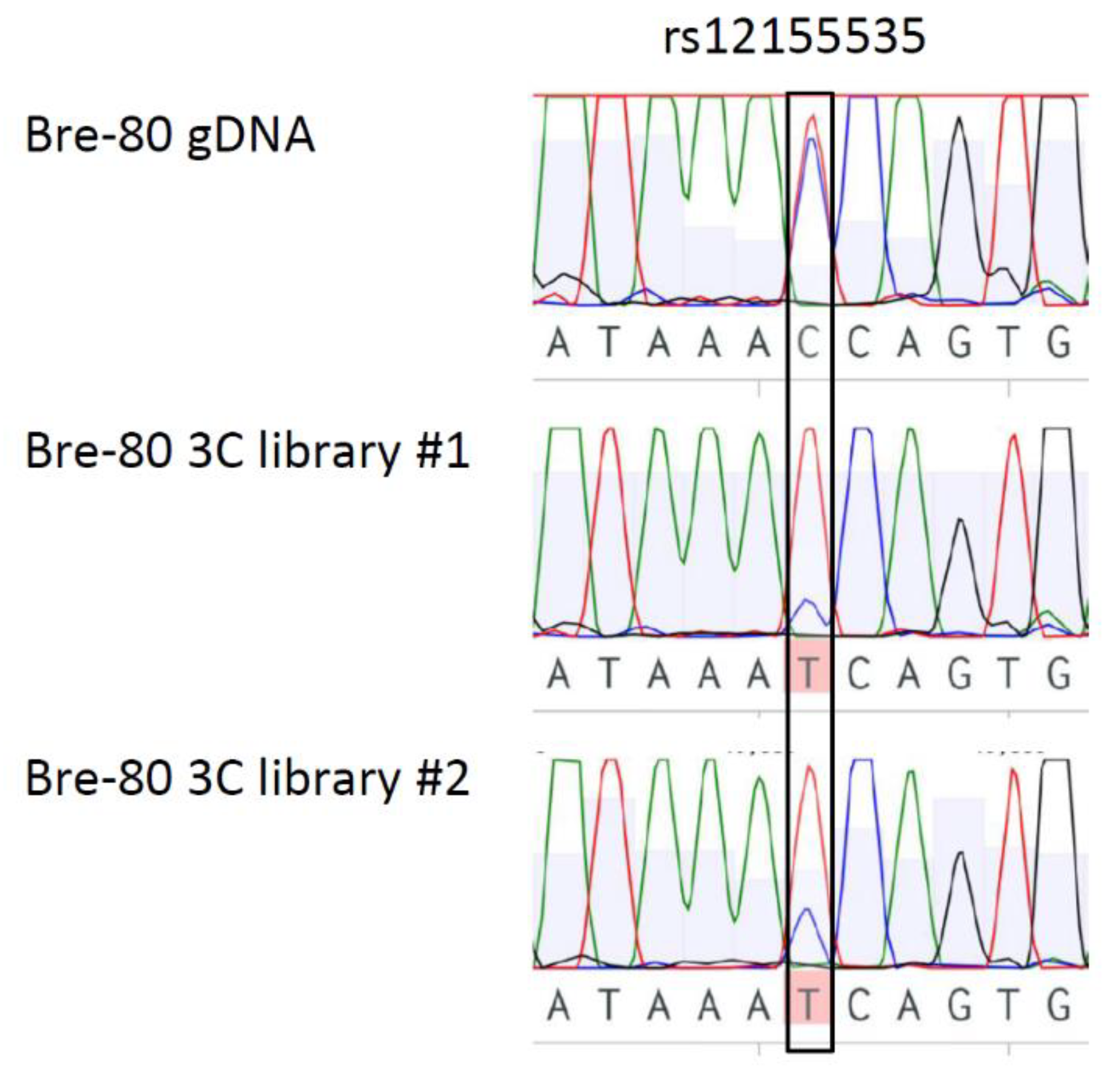 Cancers 12 00170 g003 Cancers 12 00170 g003