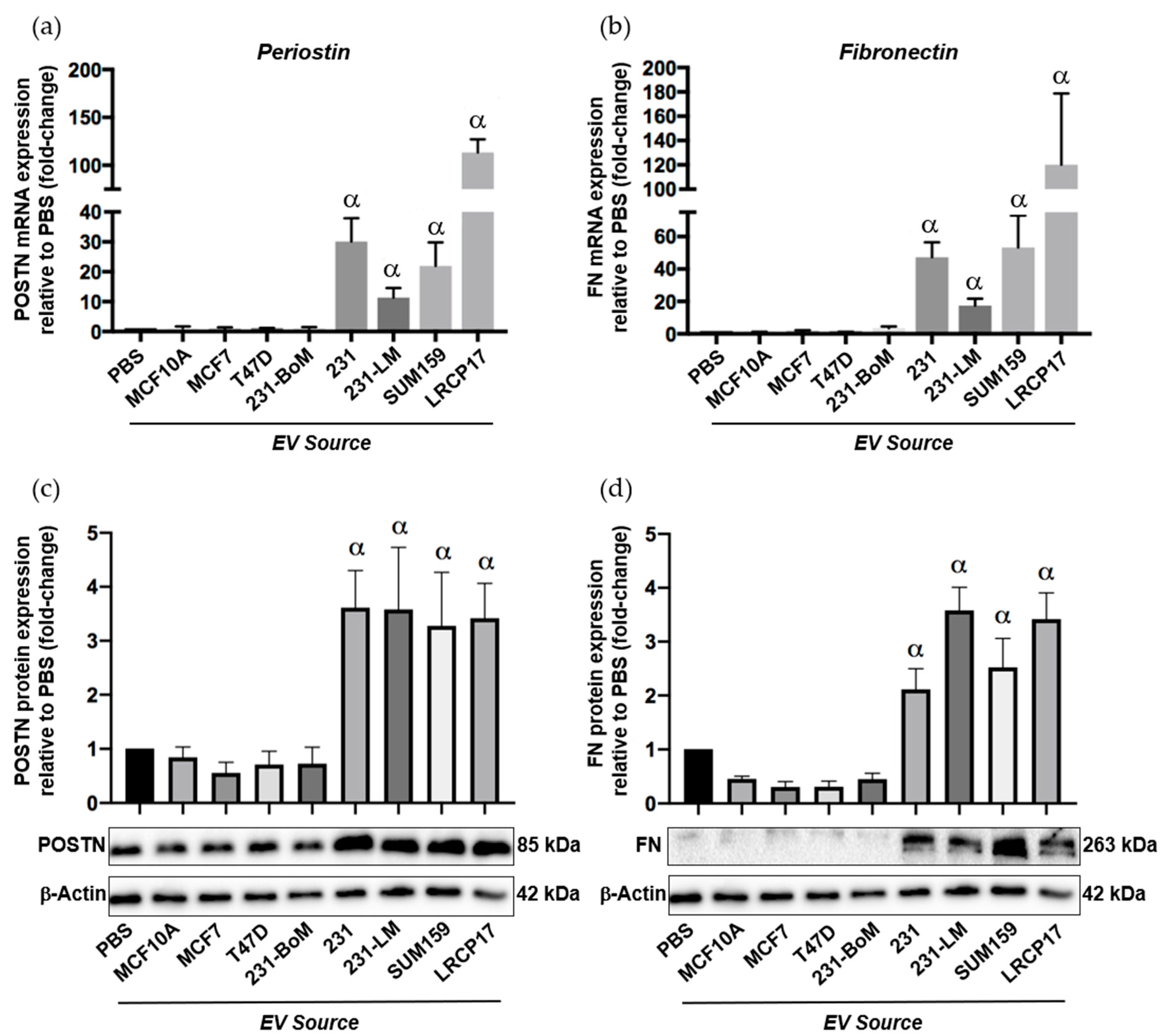 Cancers 12 00172 g006