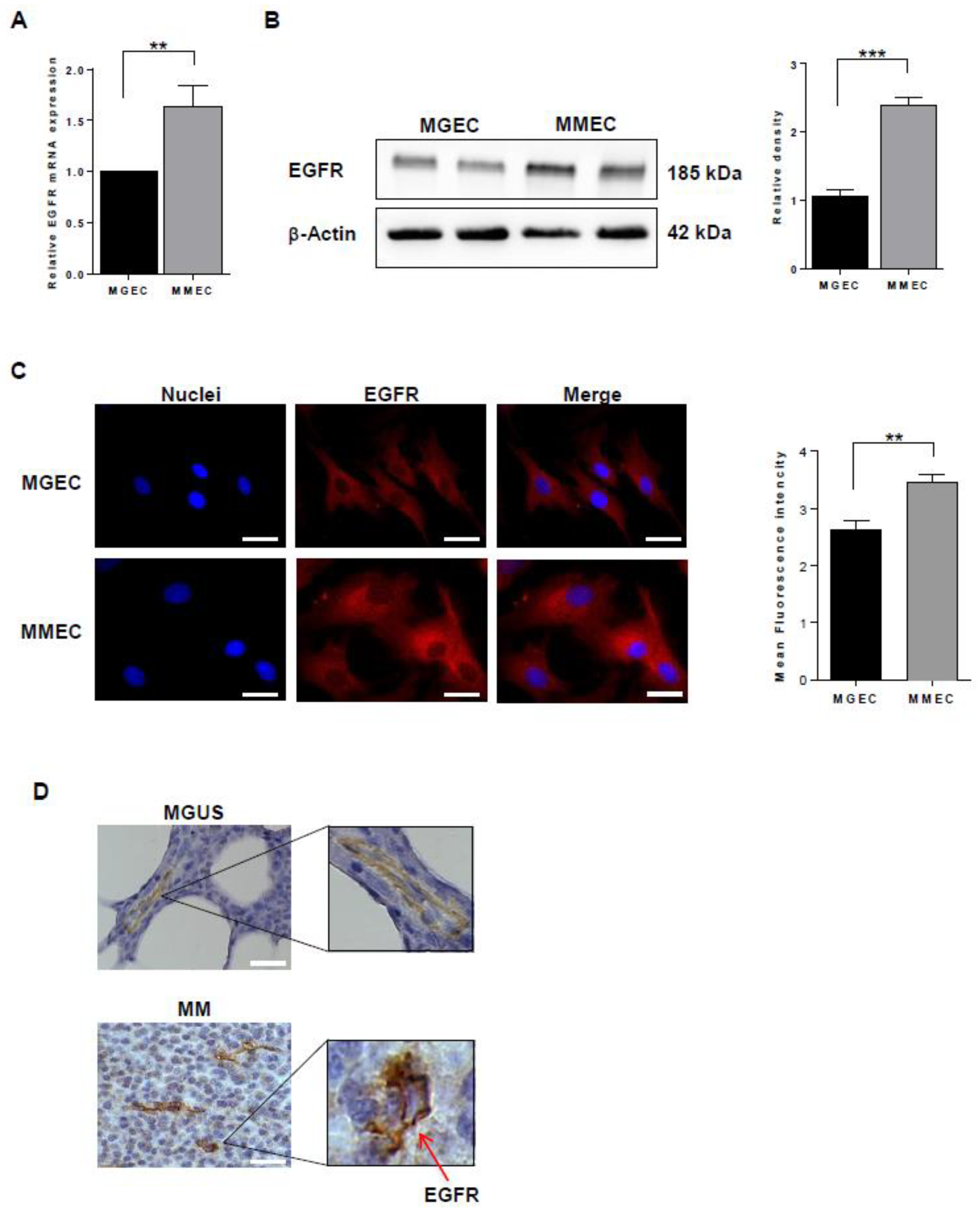 Cancers 12 00173 g001