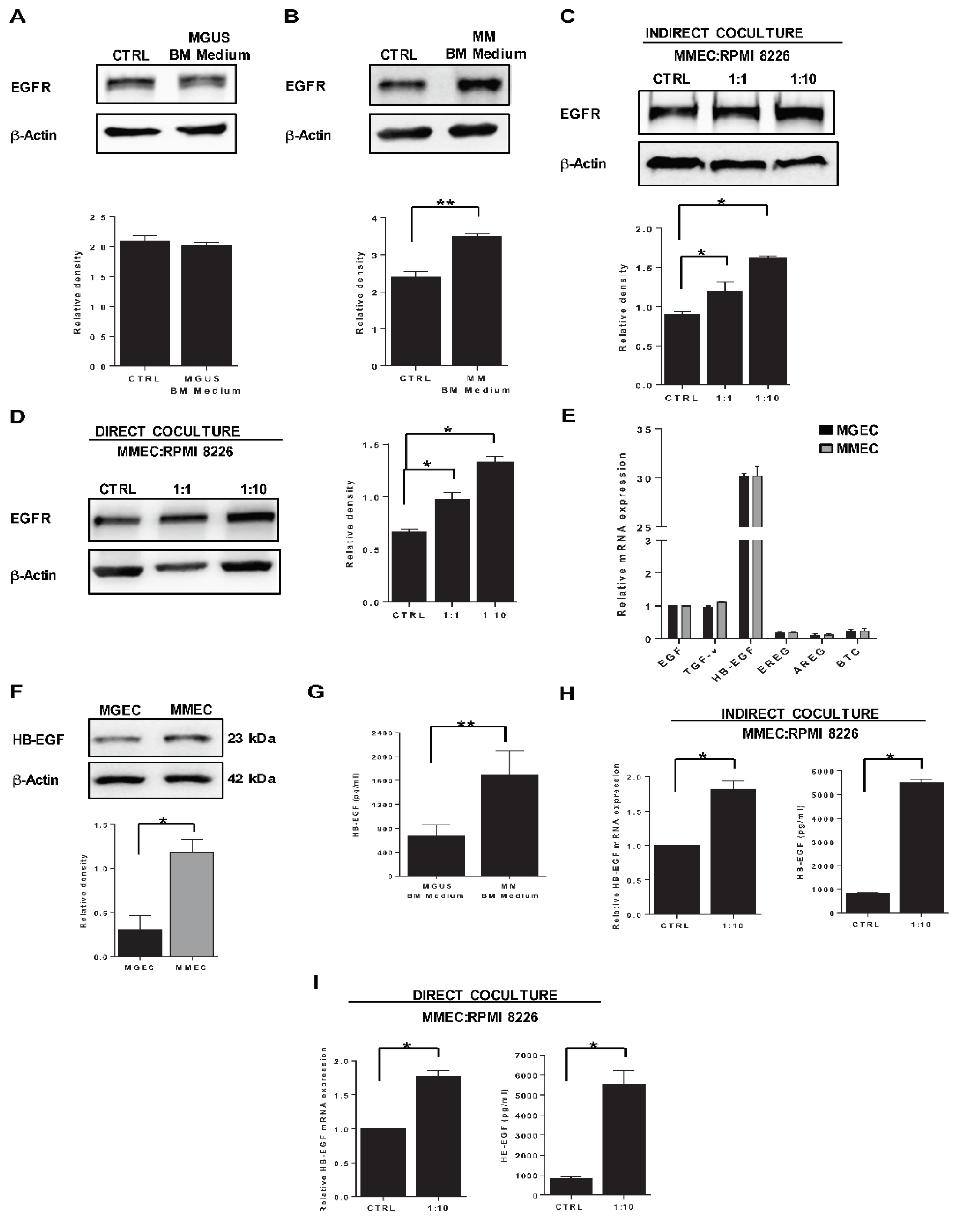Cancers 12 00173 g002