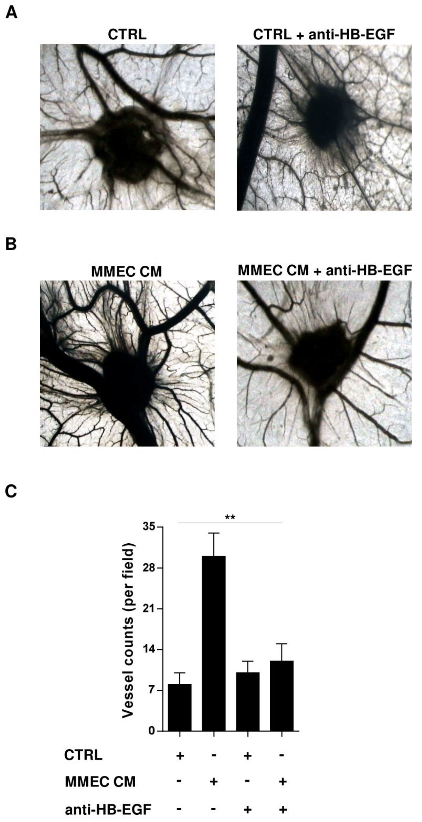 Cancers 12 00173 g004