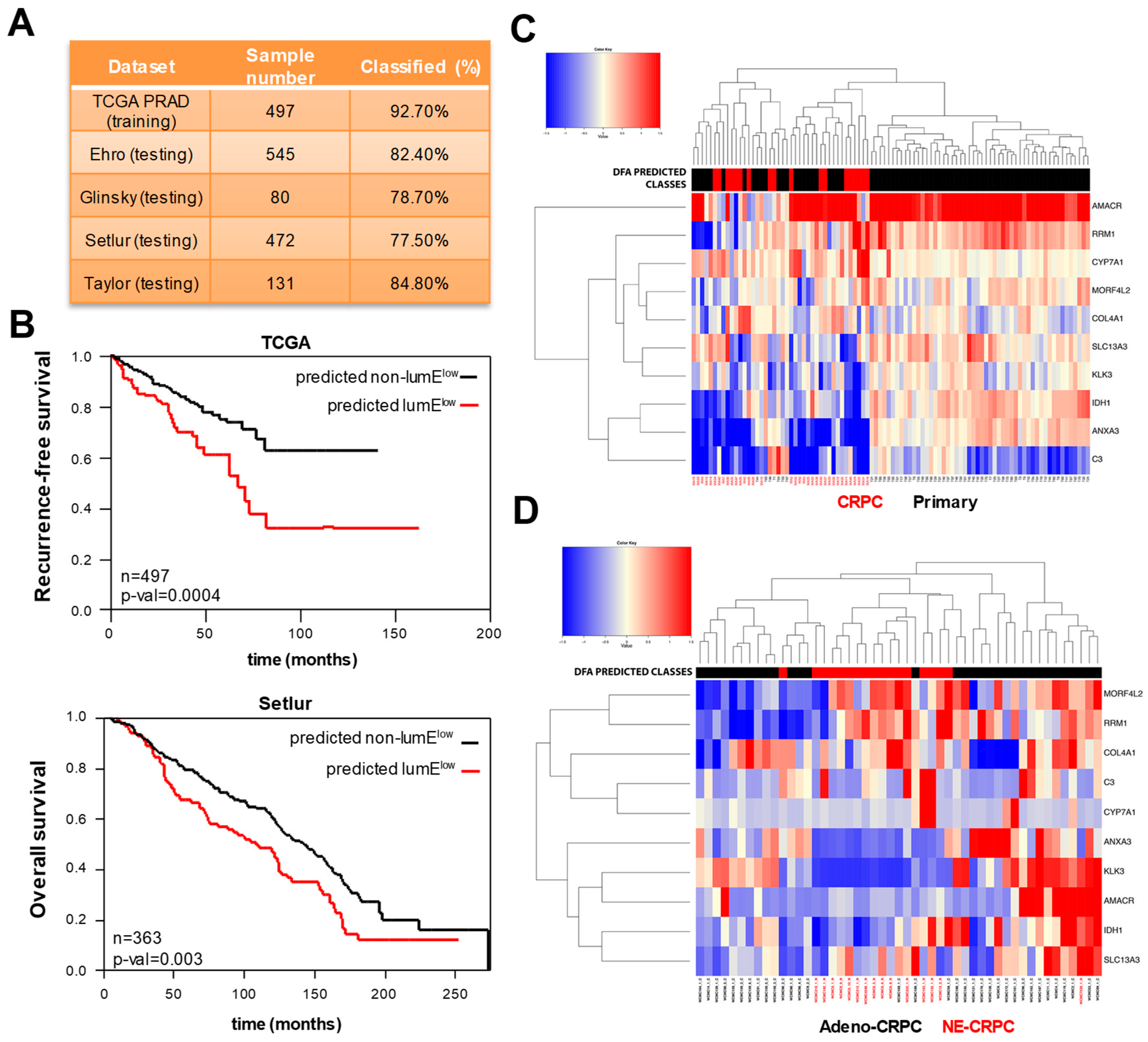 Cancers 12 00176 g005 Cancers 12 00176 g005