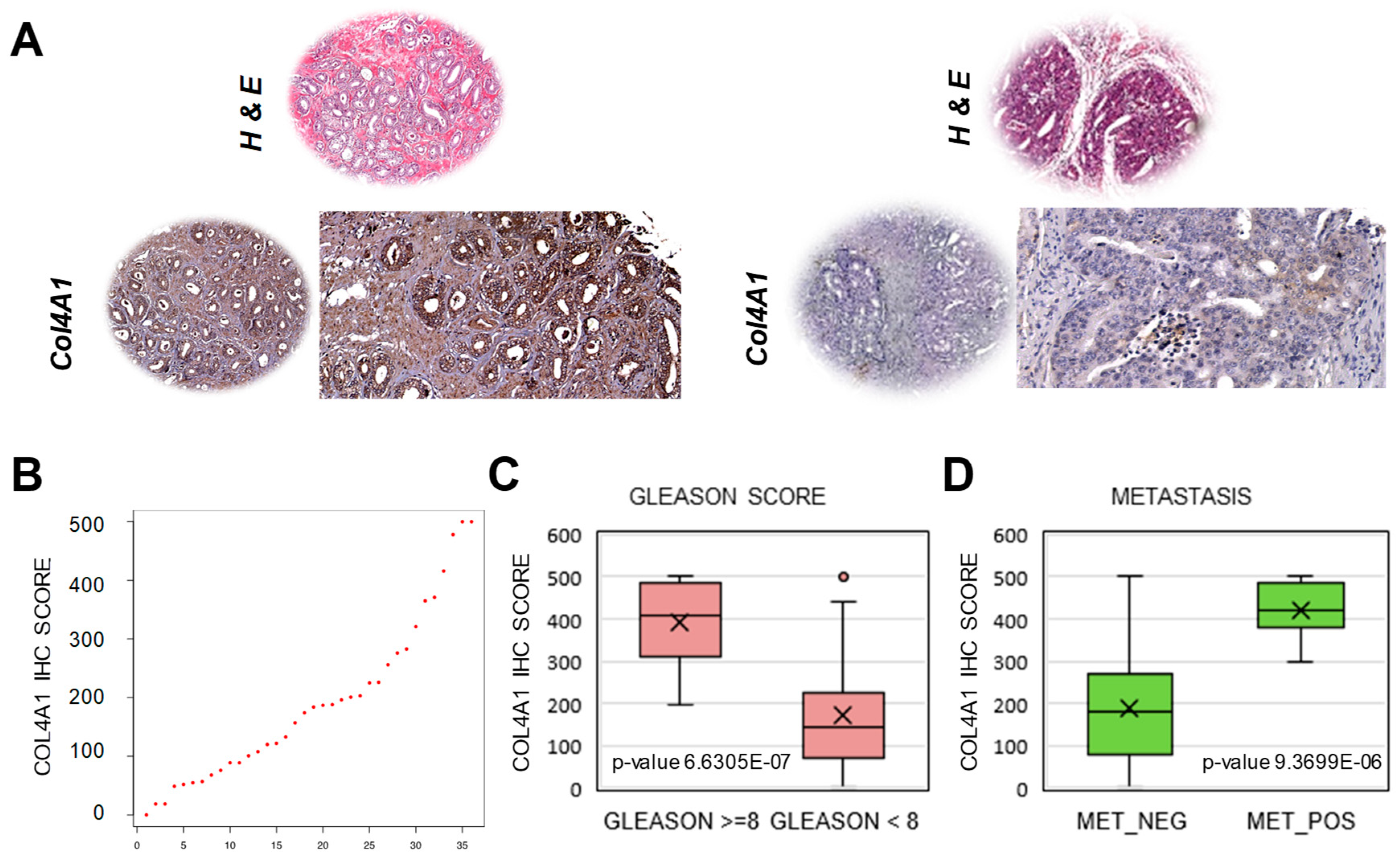 Cancers 12 00176 g006 Cancers 12 00176 g006