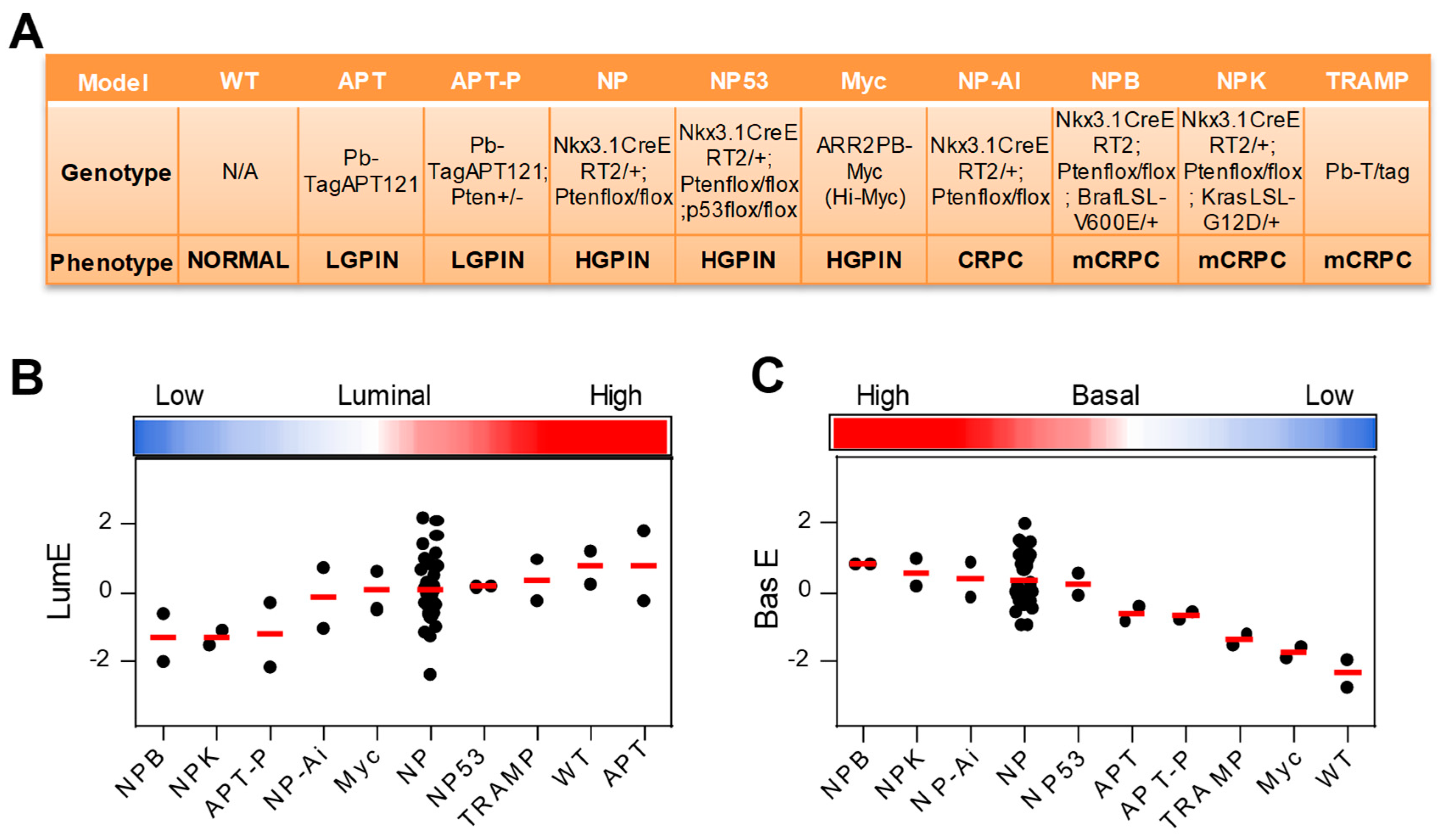 Cancers 12 00176 g007 Cancers 12 00176 g007