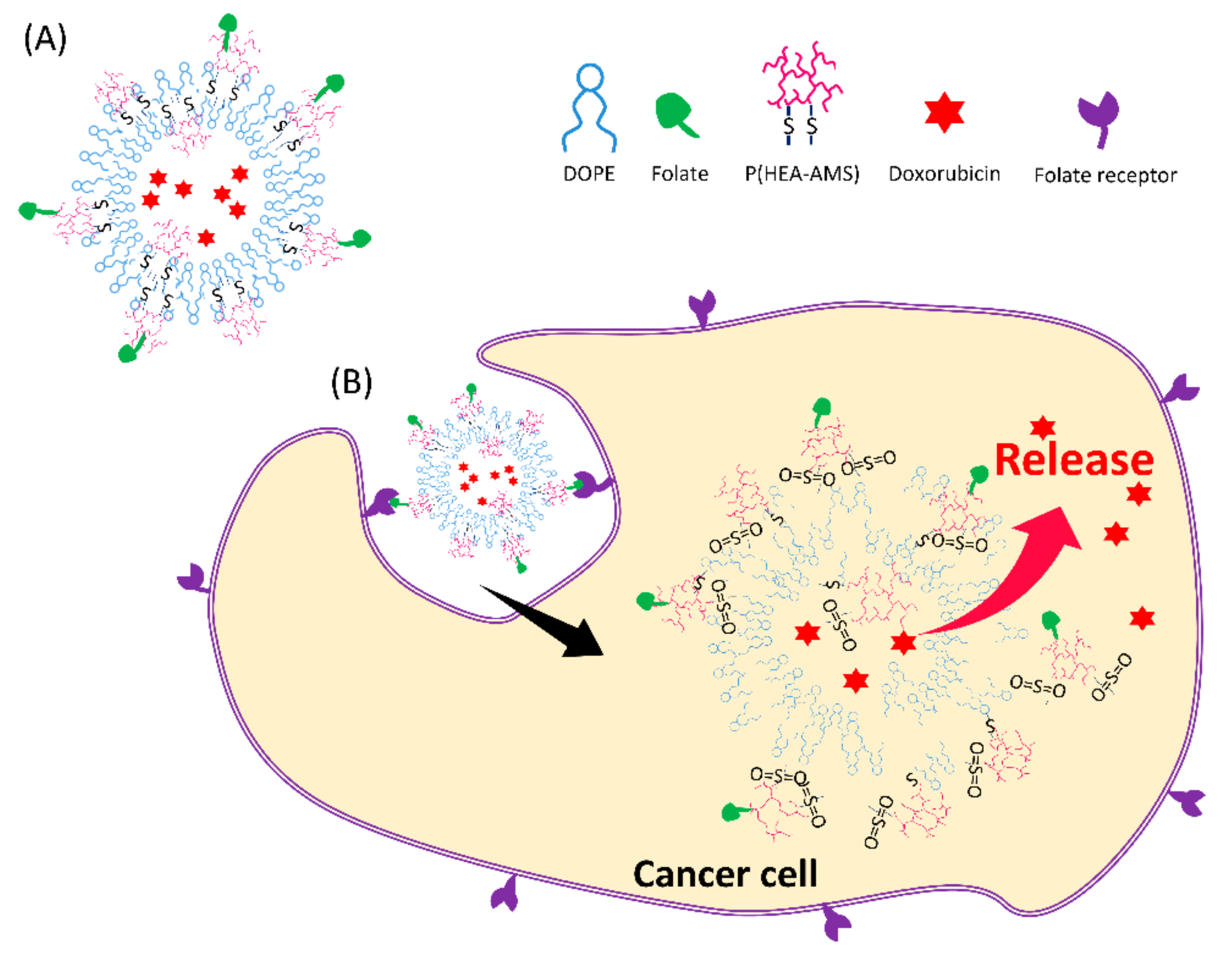 Cancers 12 00180 g001 Cancers 12 00180 g001