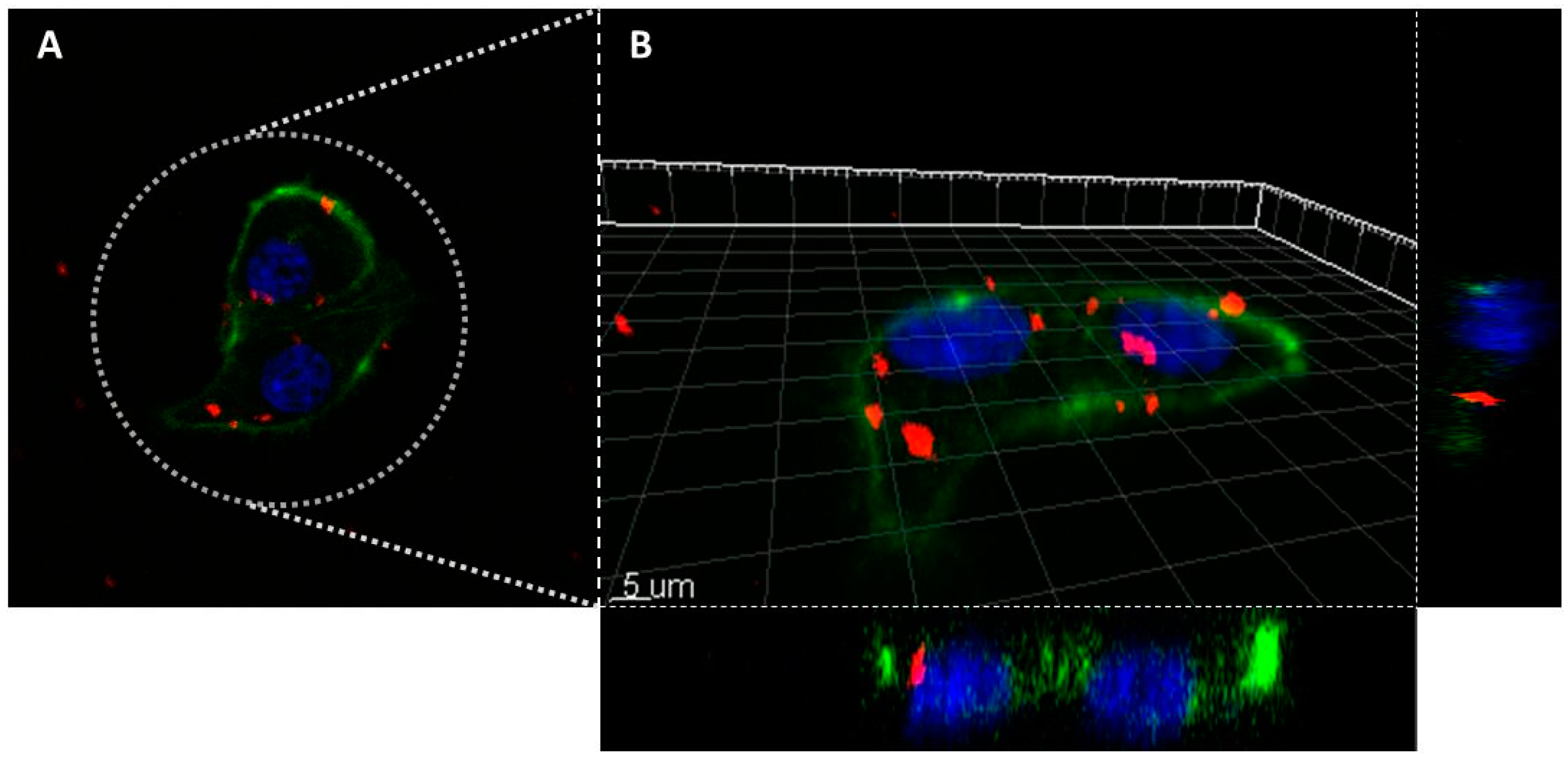 Cancers 12 00187 g008