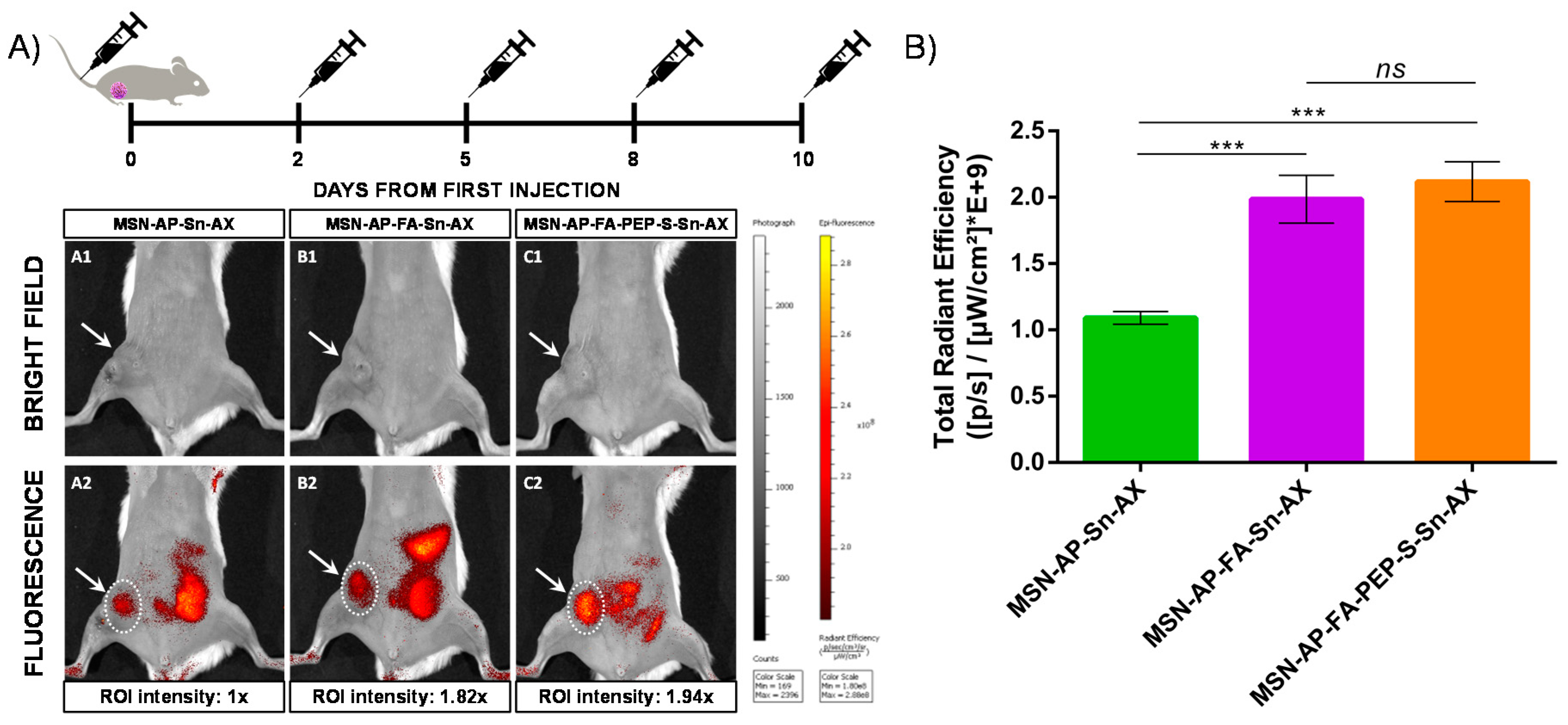 Cancers 12 00187 g009
