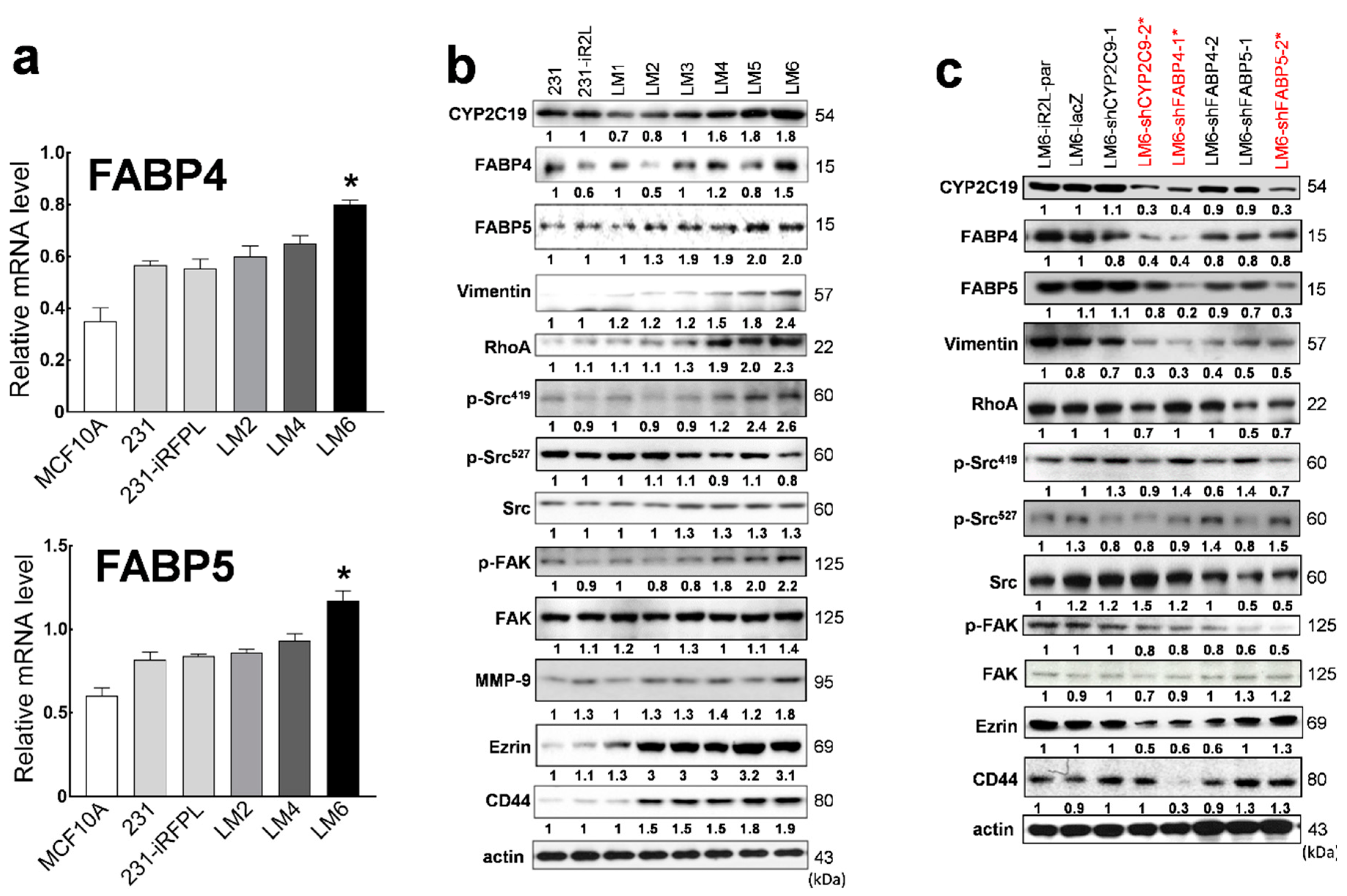 Cancers 12 00199 g002a