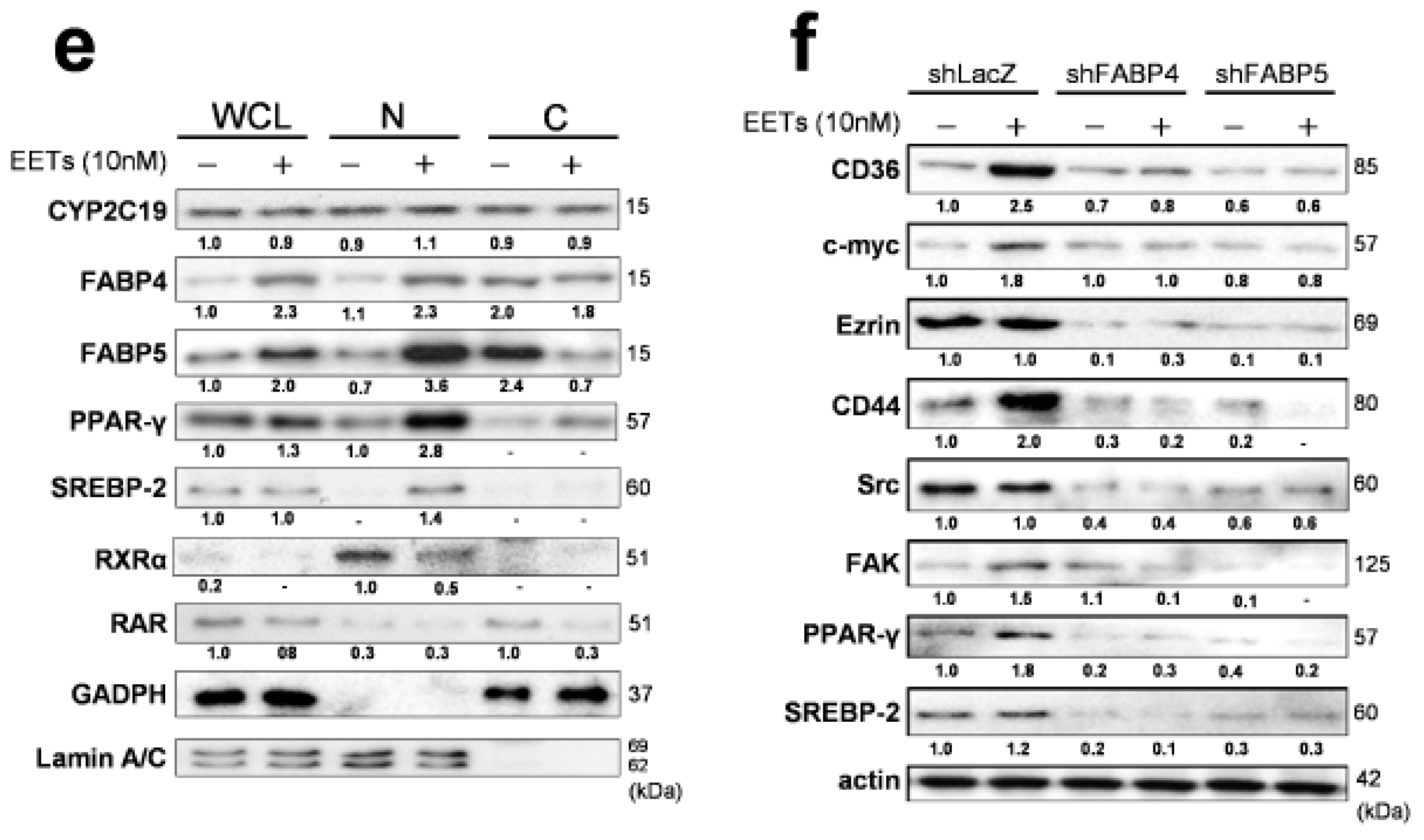 Cancers 12 00199 g003b