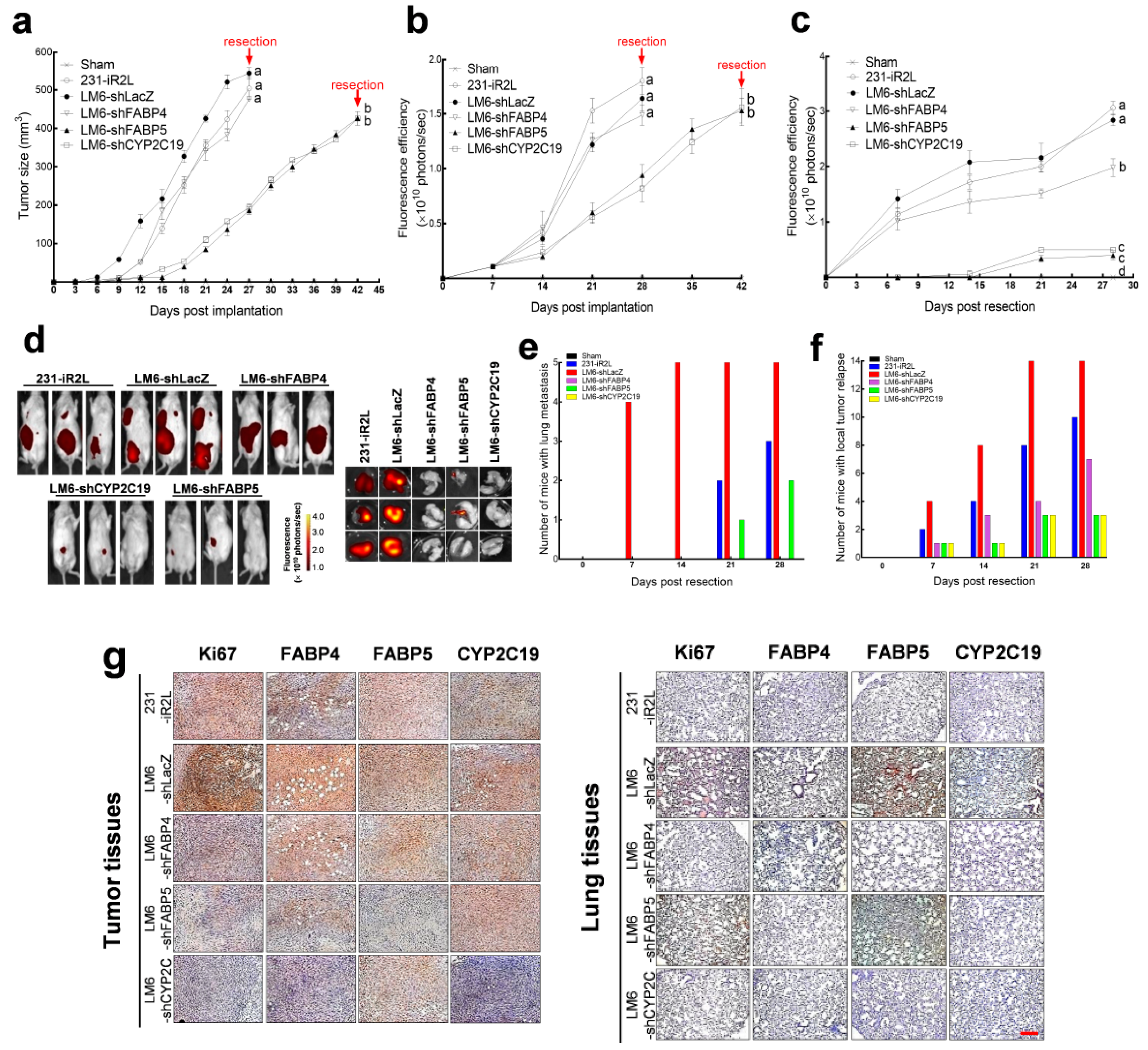 Cancers 12 00199 g005a