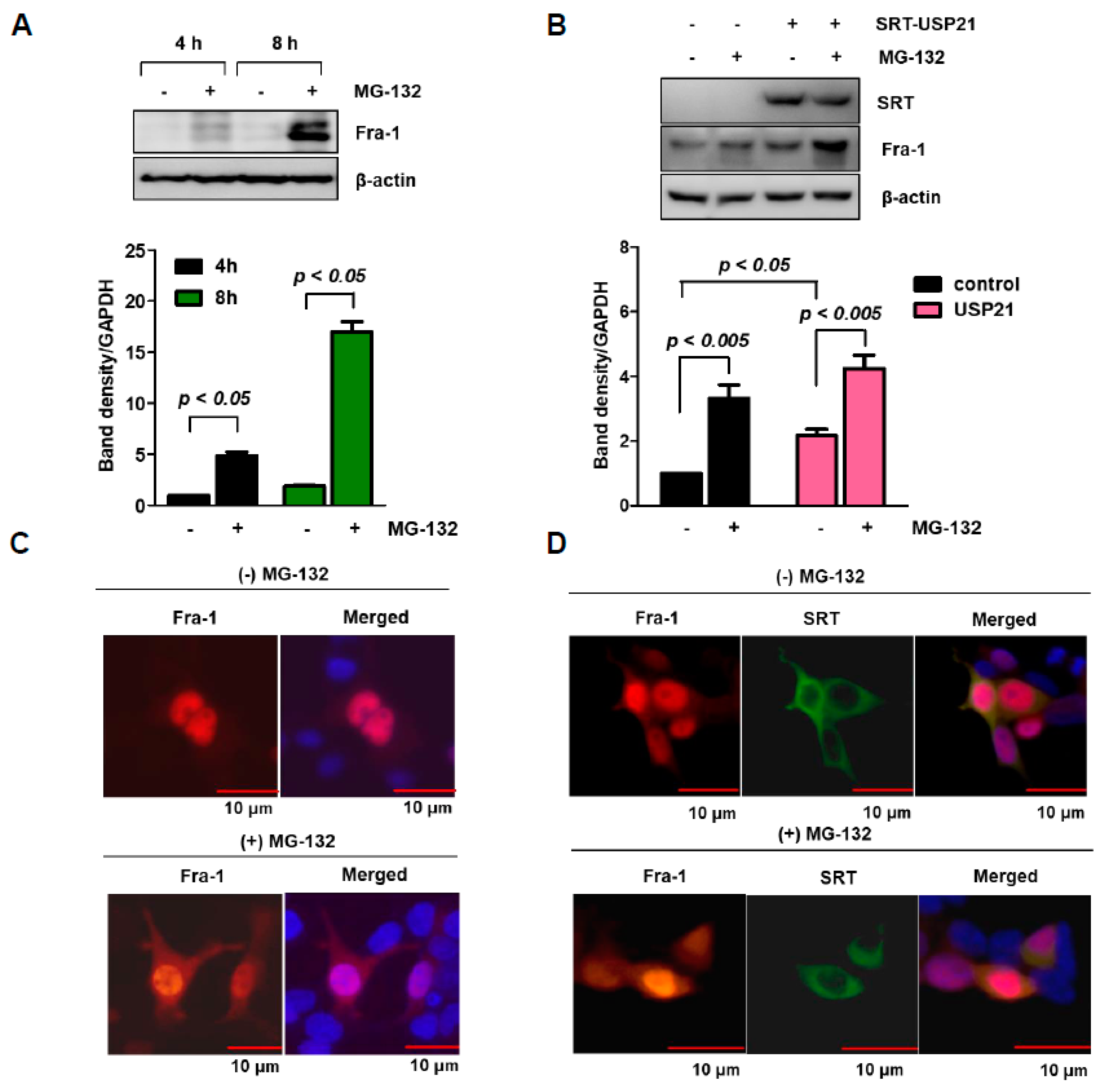 Cancers 12 00207 g002