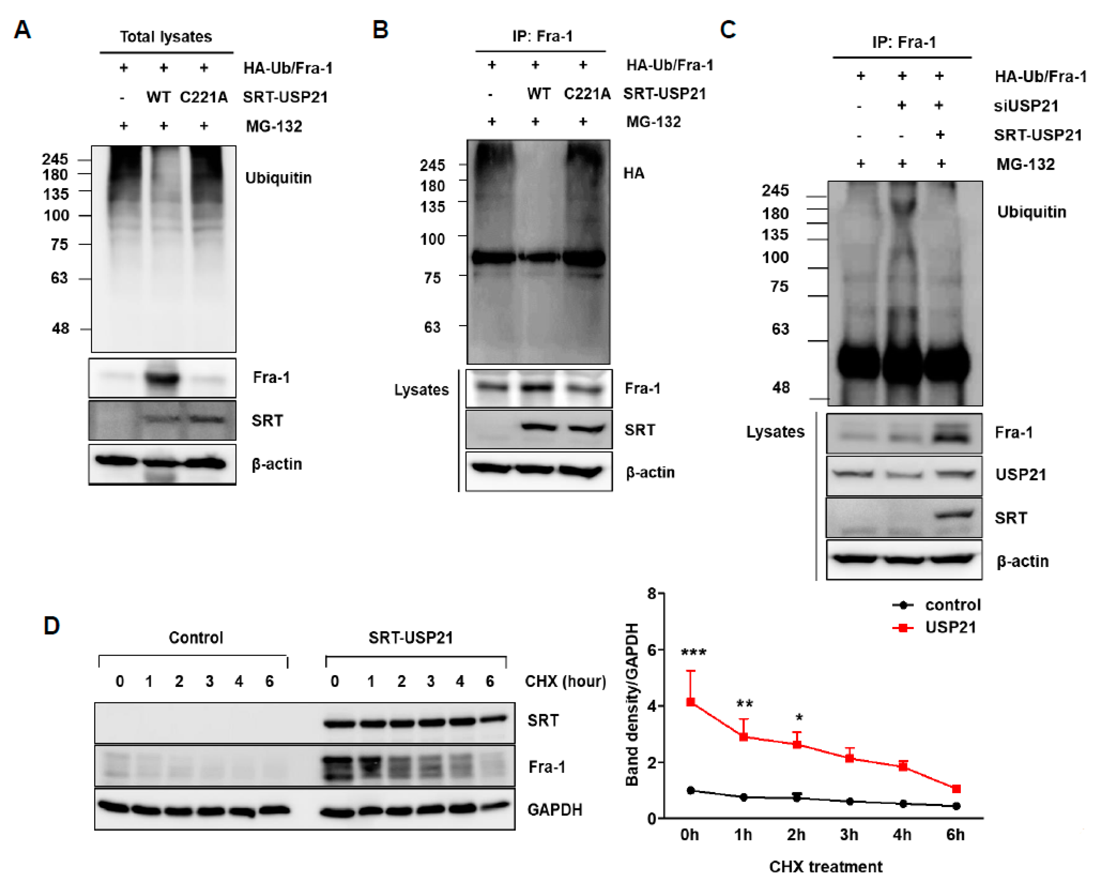 Cancers 12 00207 g003