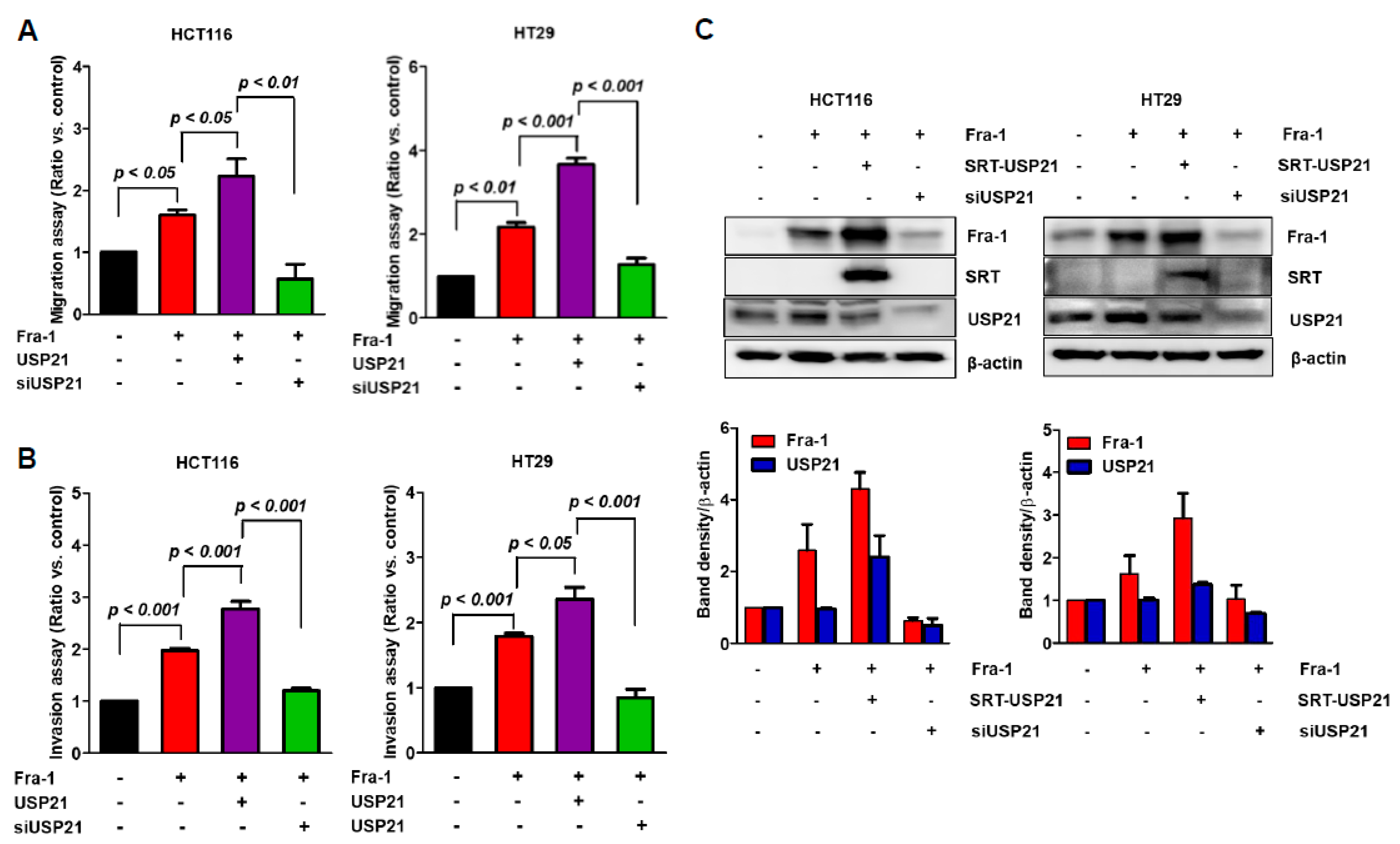 Cancers 12 00207 g005