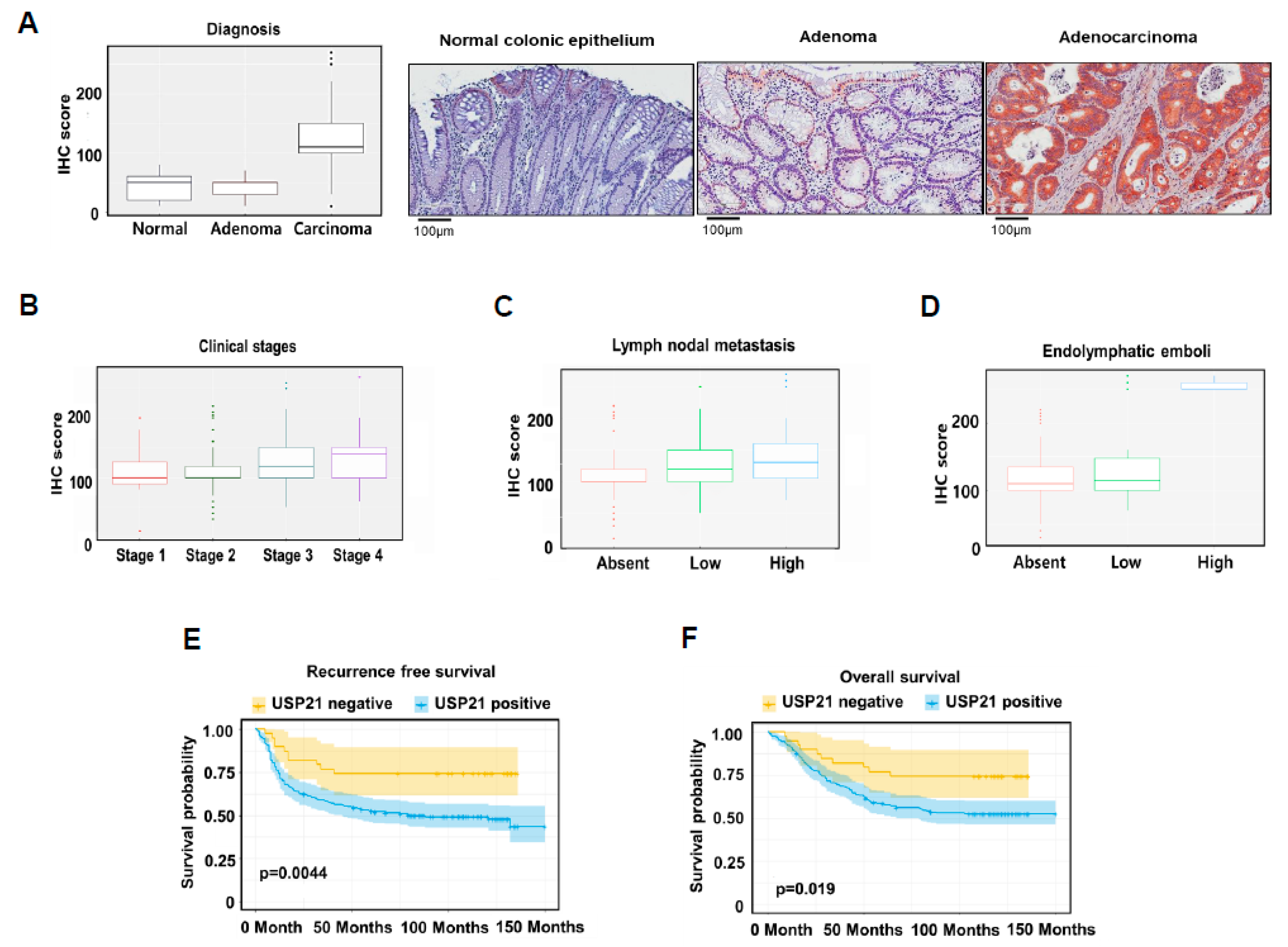 Cancers 12 00207 g006