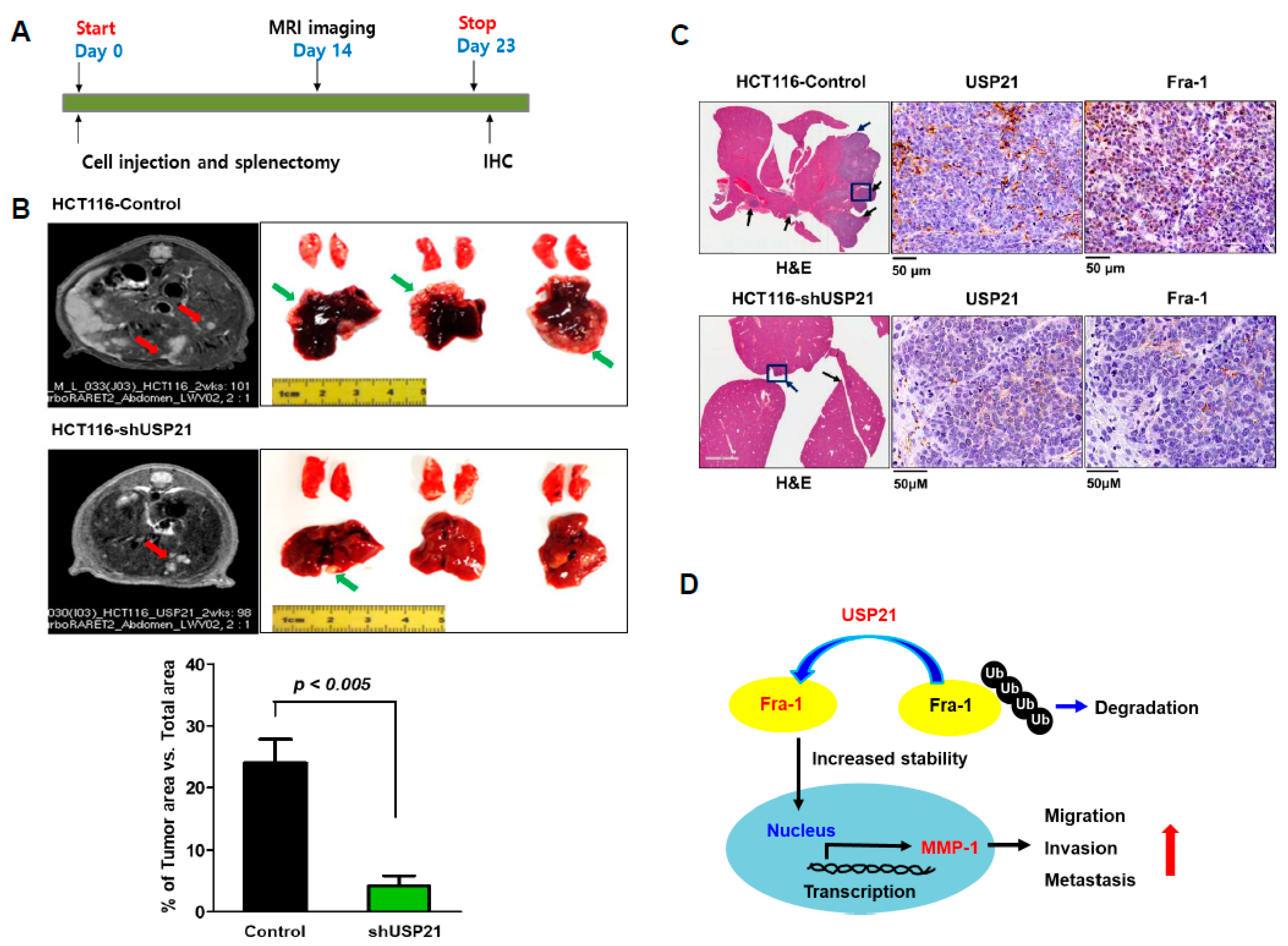 Cancers 12 00207 g007