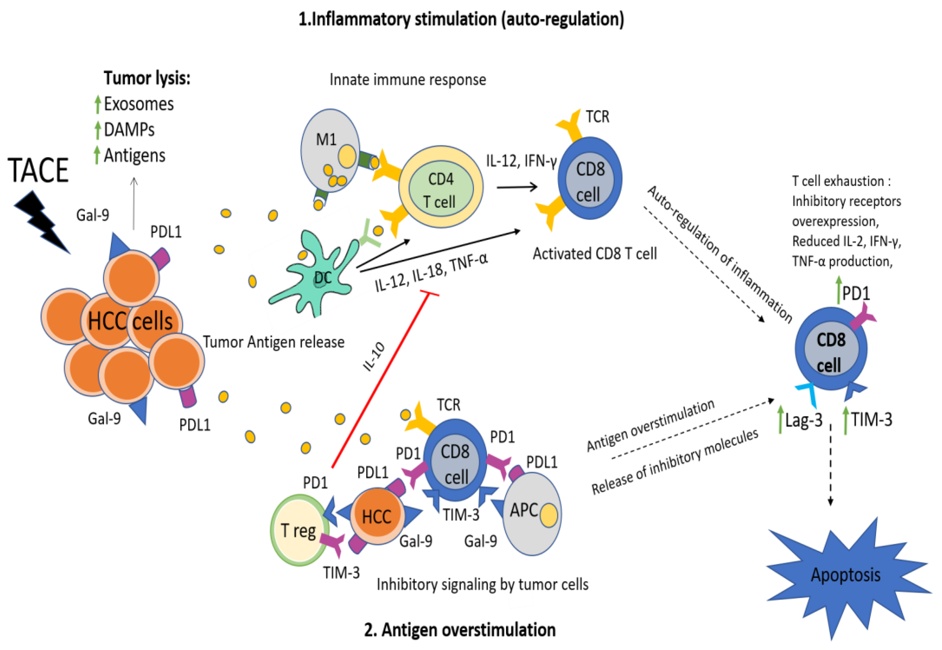 Cancers 12 00212 g005