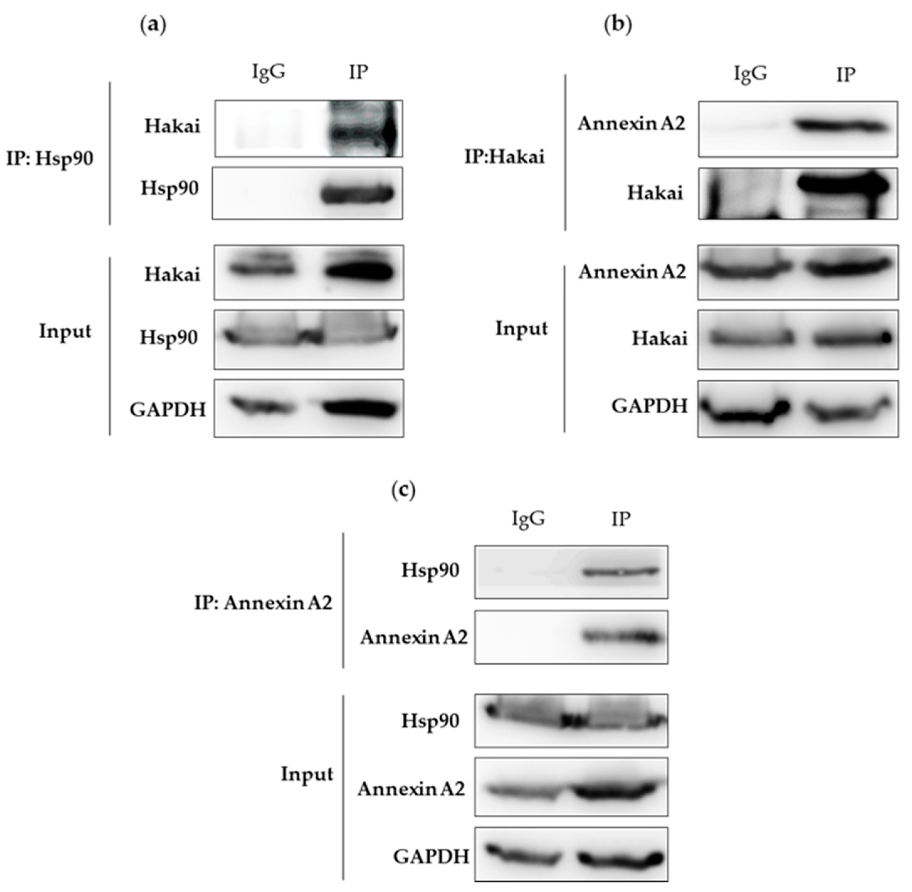 Cancers 12 00215 g002