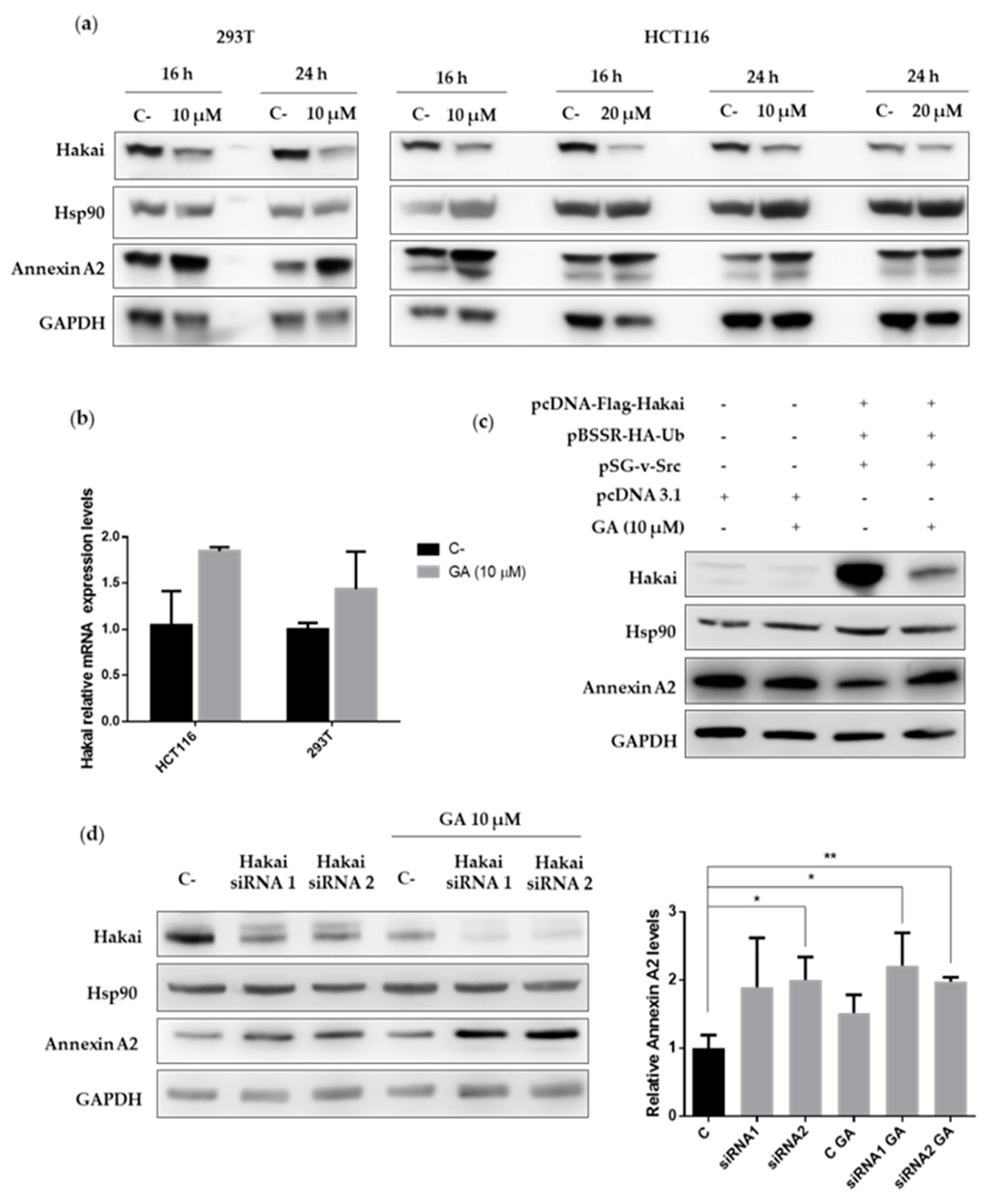 Cancers 12 00215 g005