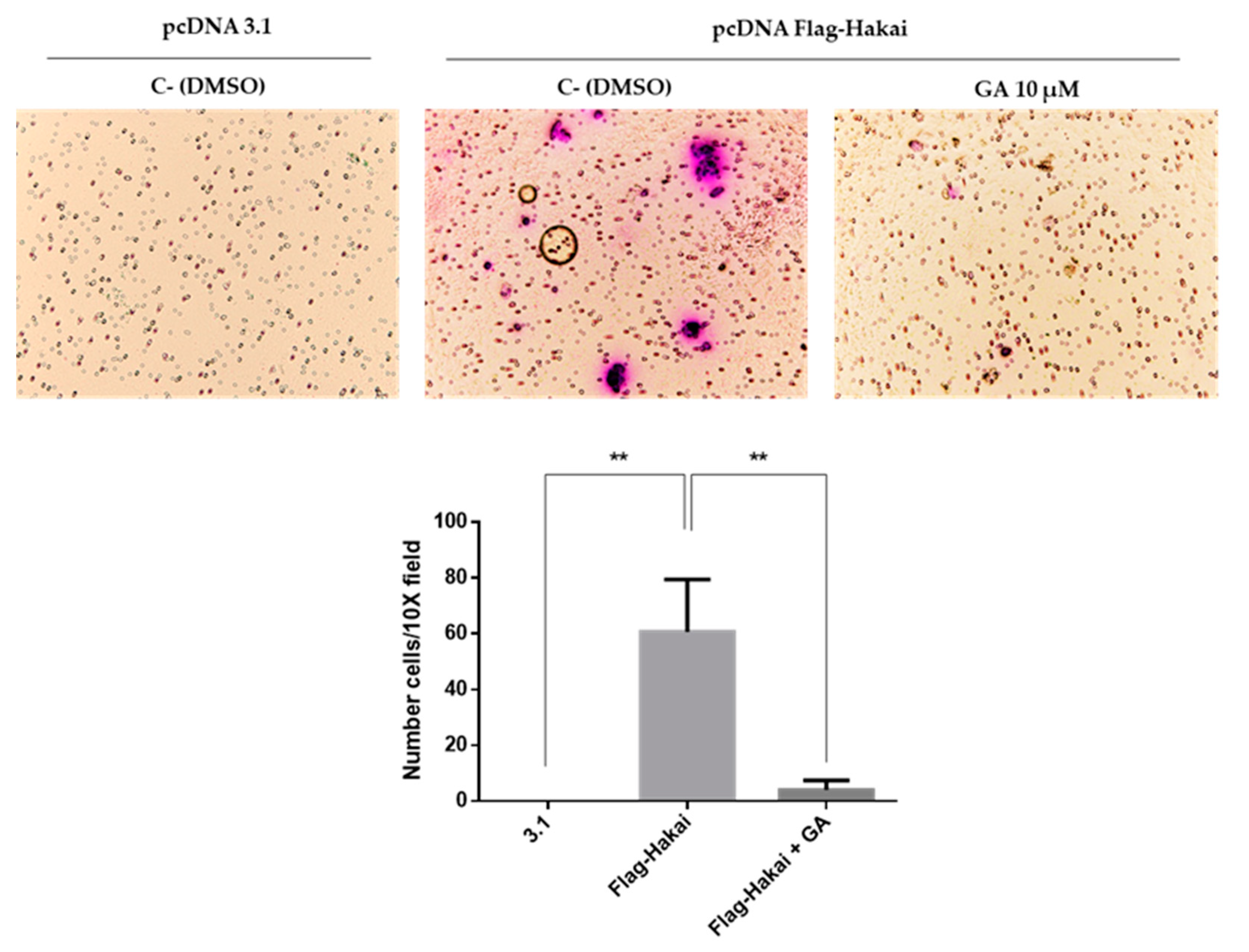 Cancers 12 00215 g008