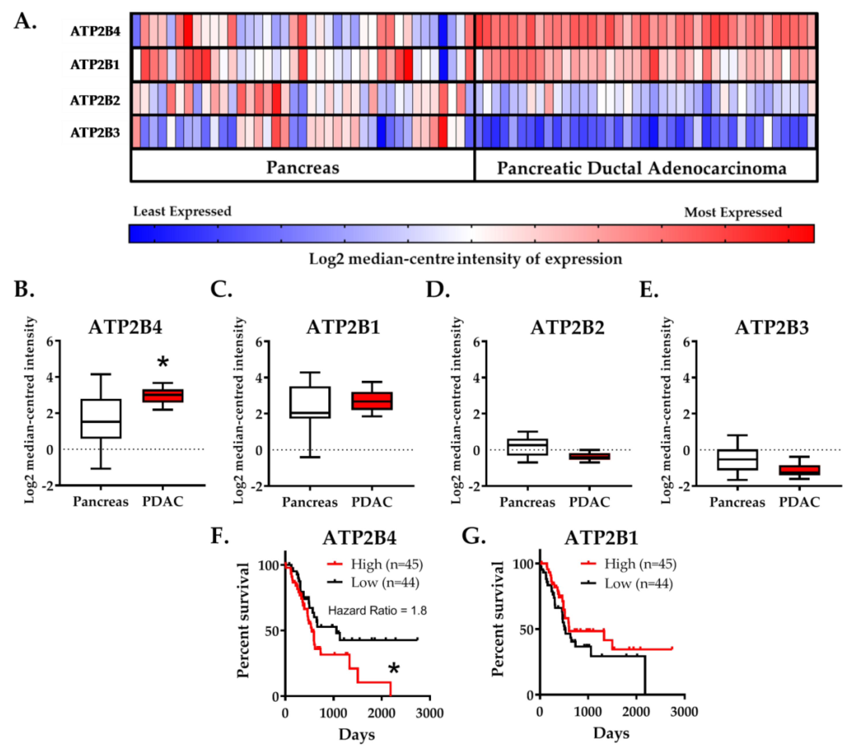 Cancers 12 00218 g001