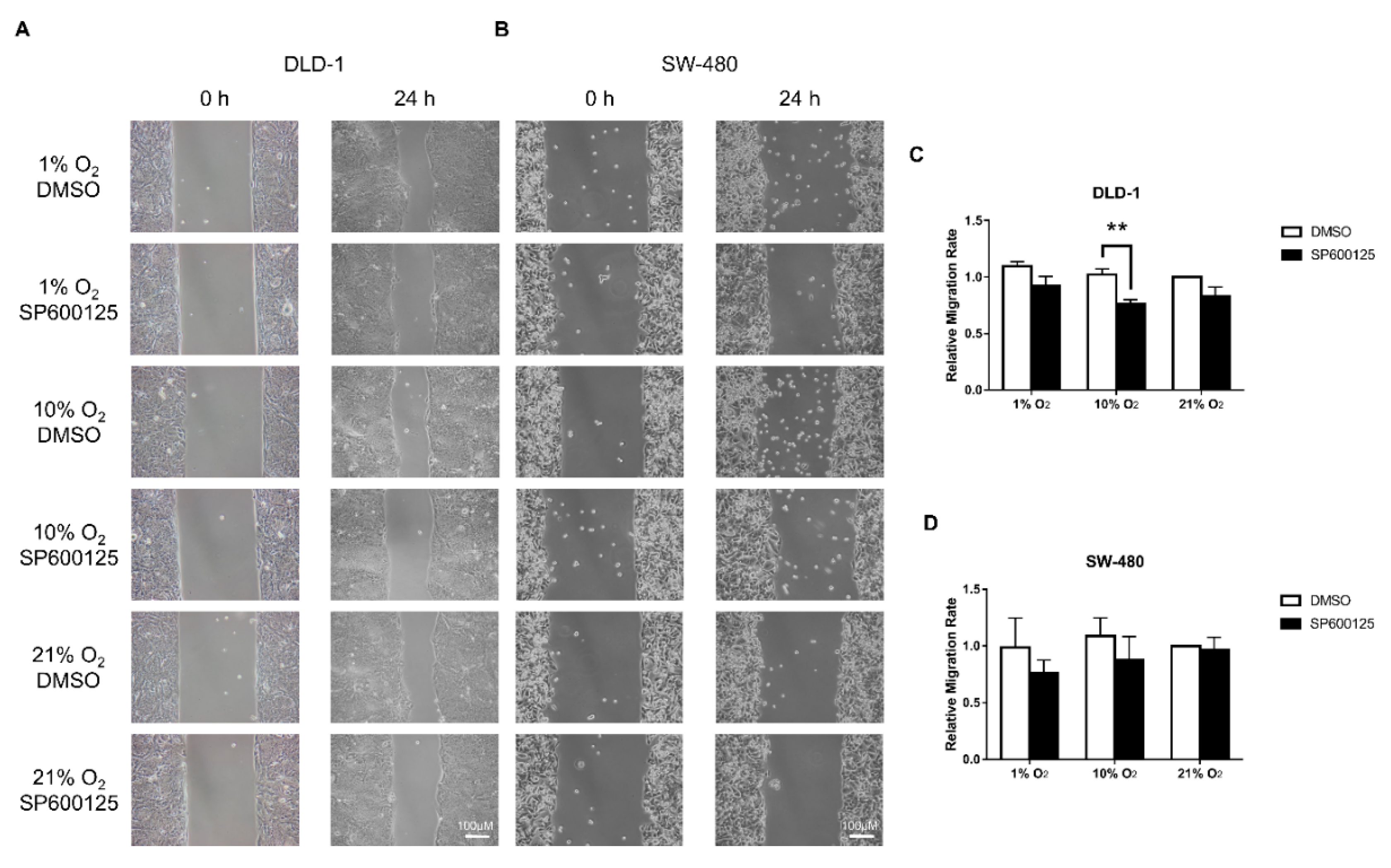 Cancers 12 00224 g002 Cancers 12 00224 g002