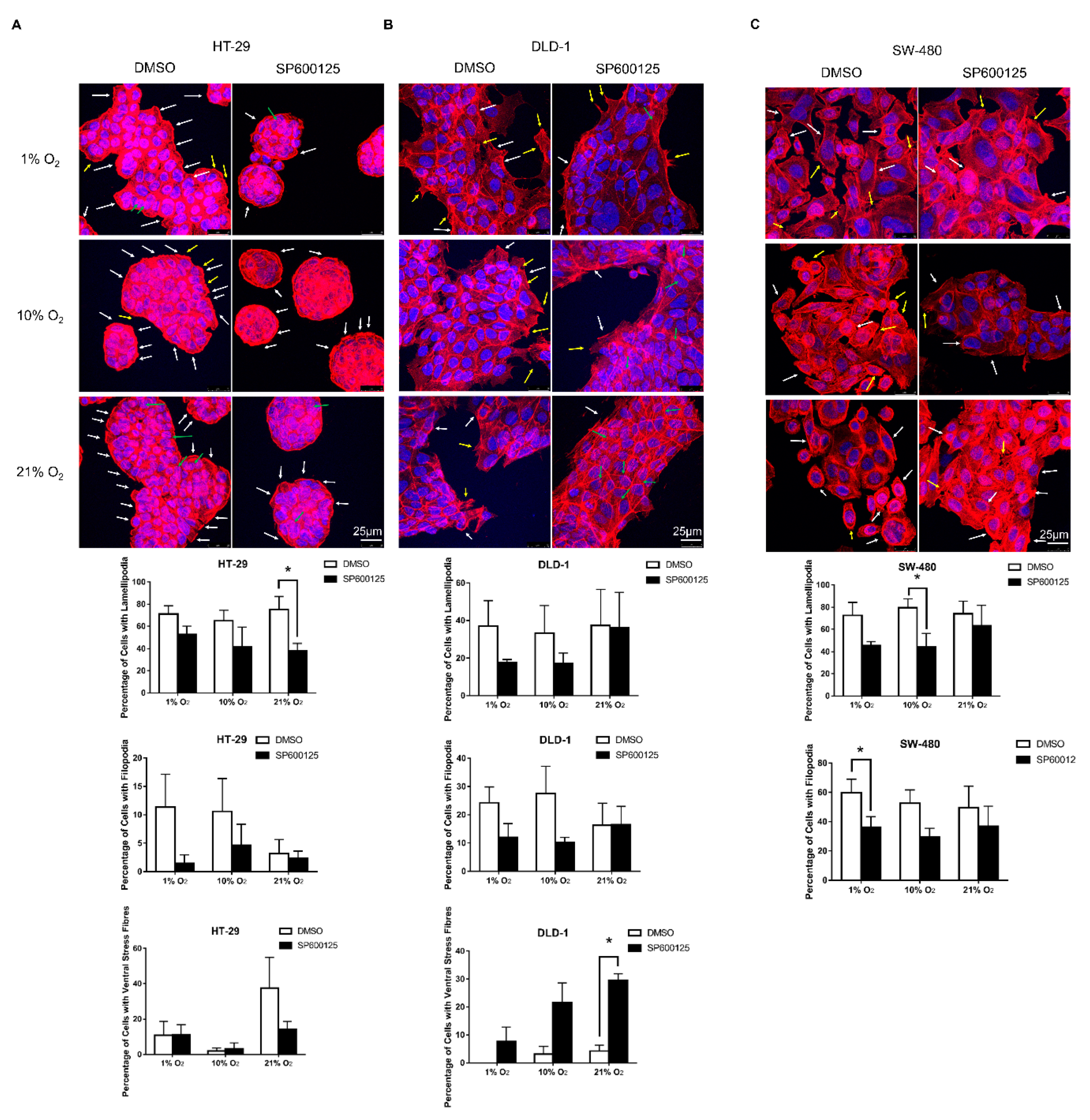 Cancers 12 00224 g003 Cancers 12 00224 g003
