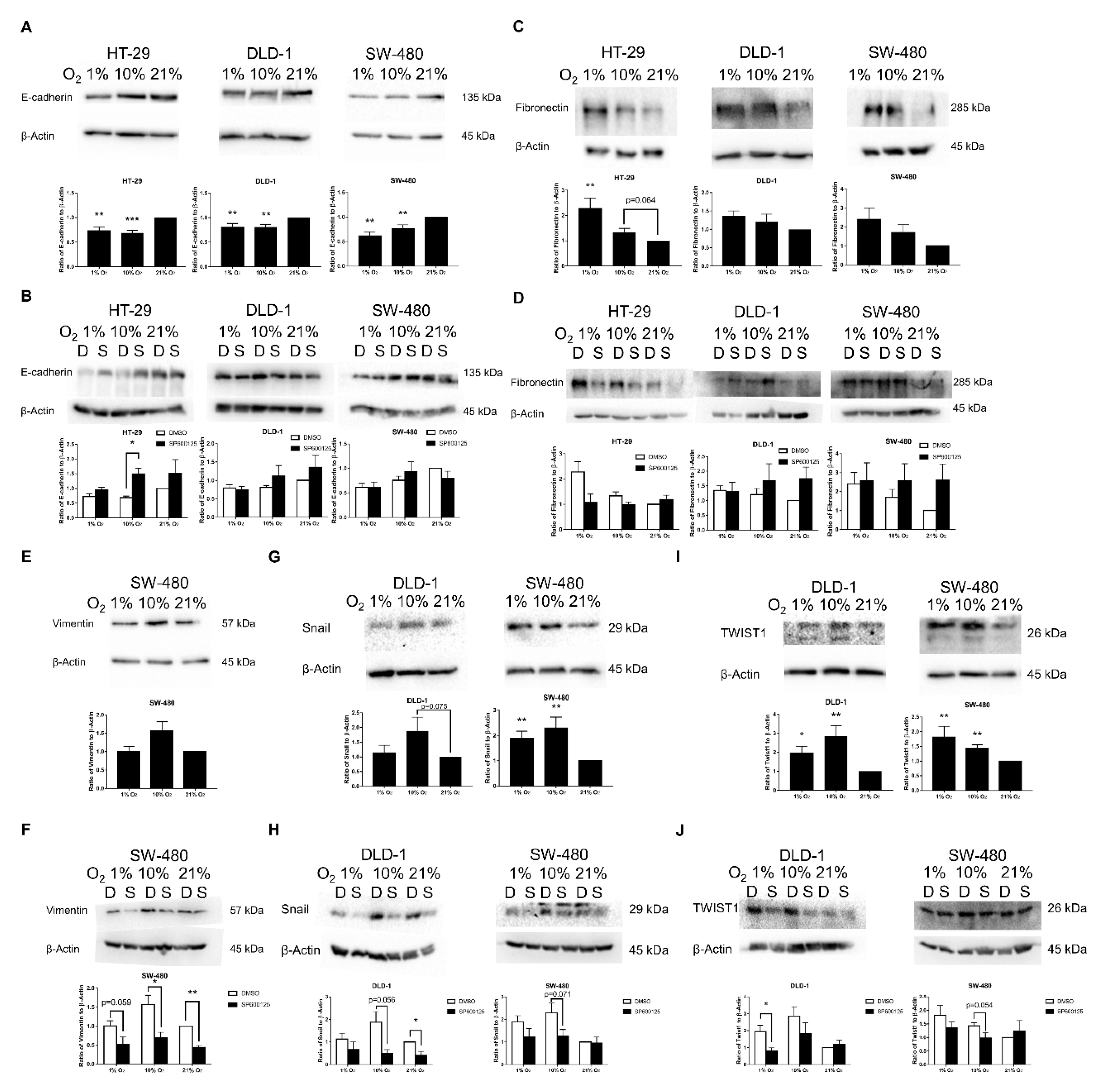 Cancers 12 00224 g004 Cancers 12 00224 g004