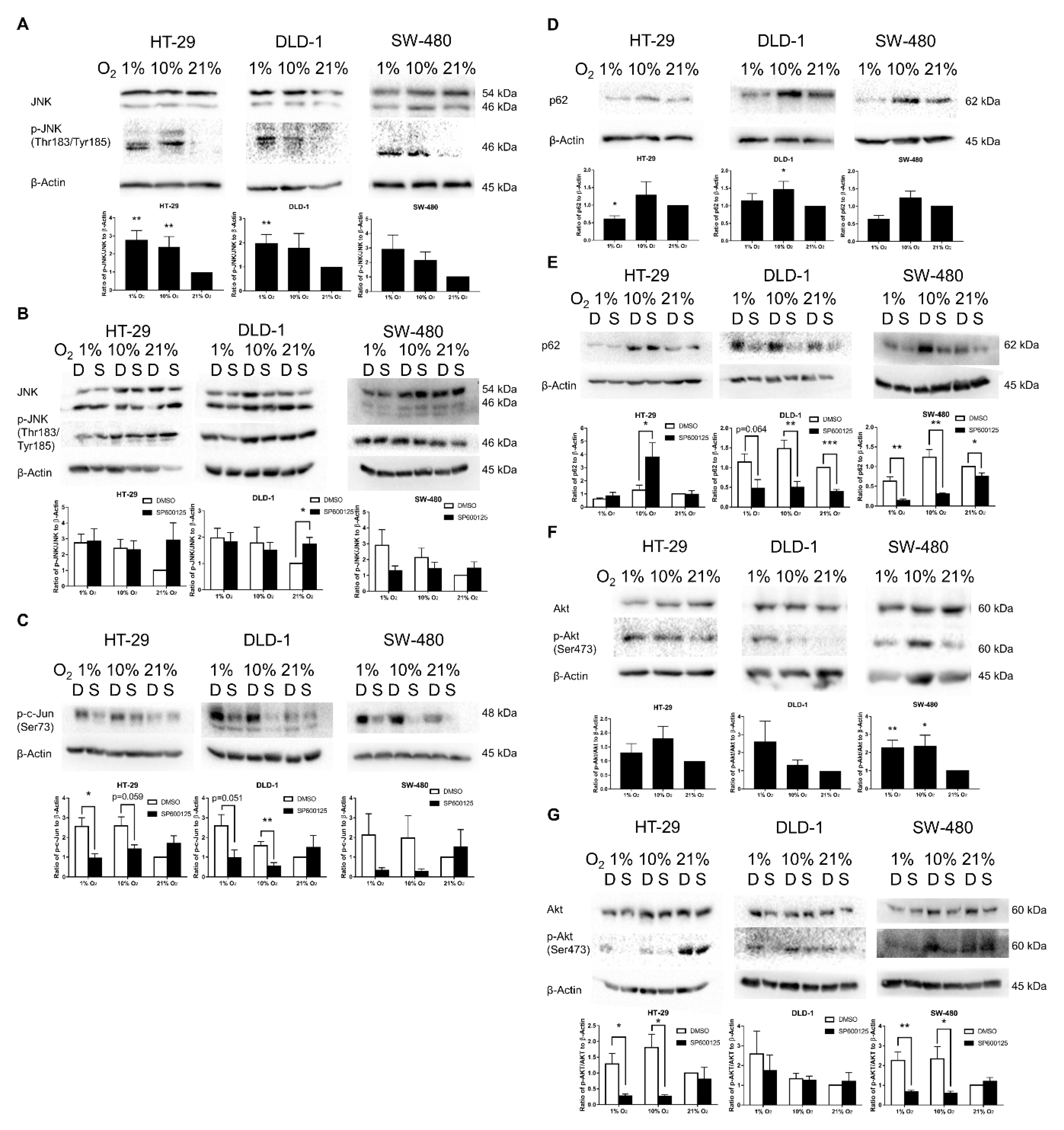 Cancers 12 00224 g005 Cancers 12 00224 g005