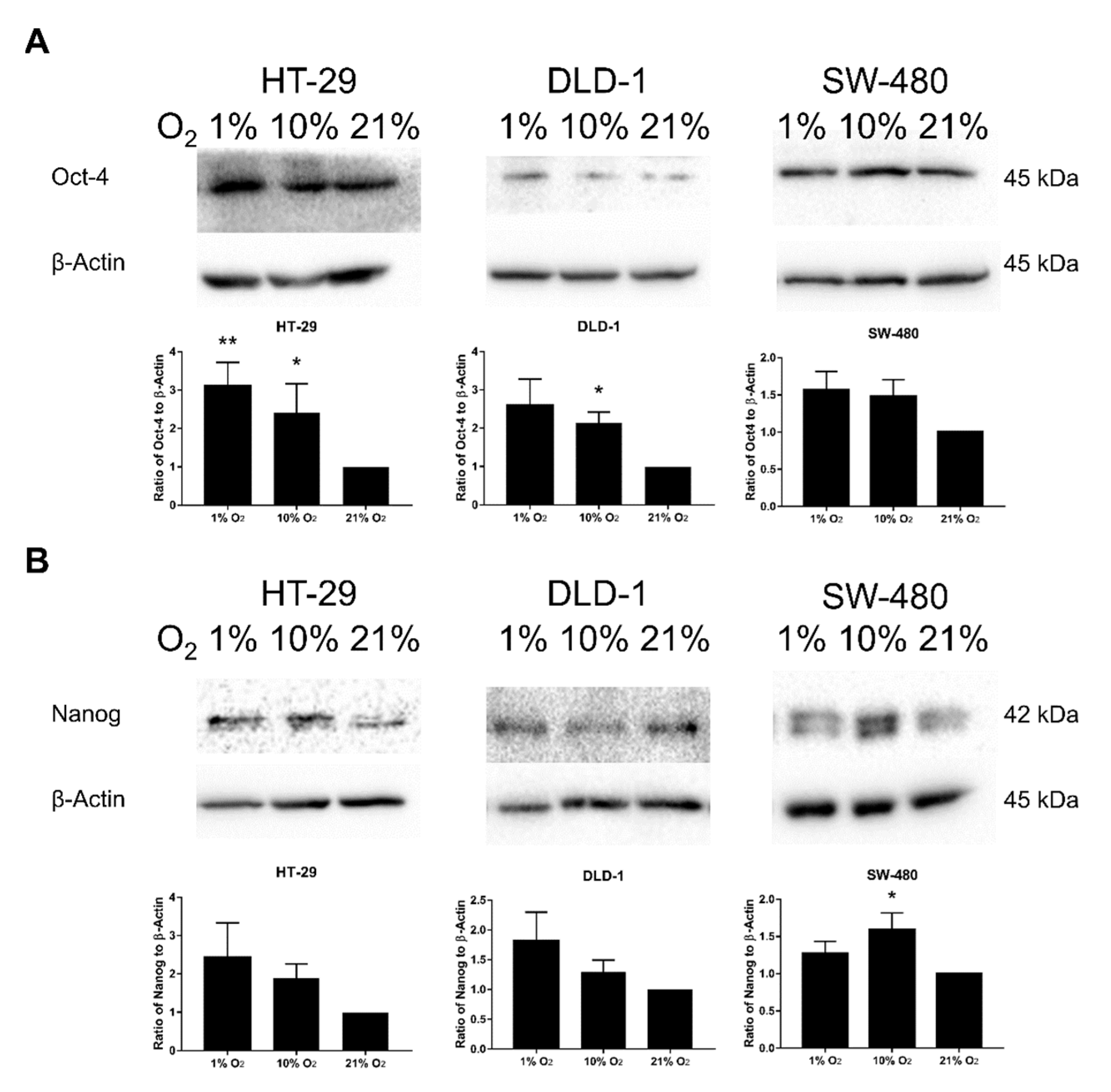 Cancers 12 00224 g006a Cancers 12 00224 g006a