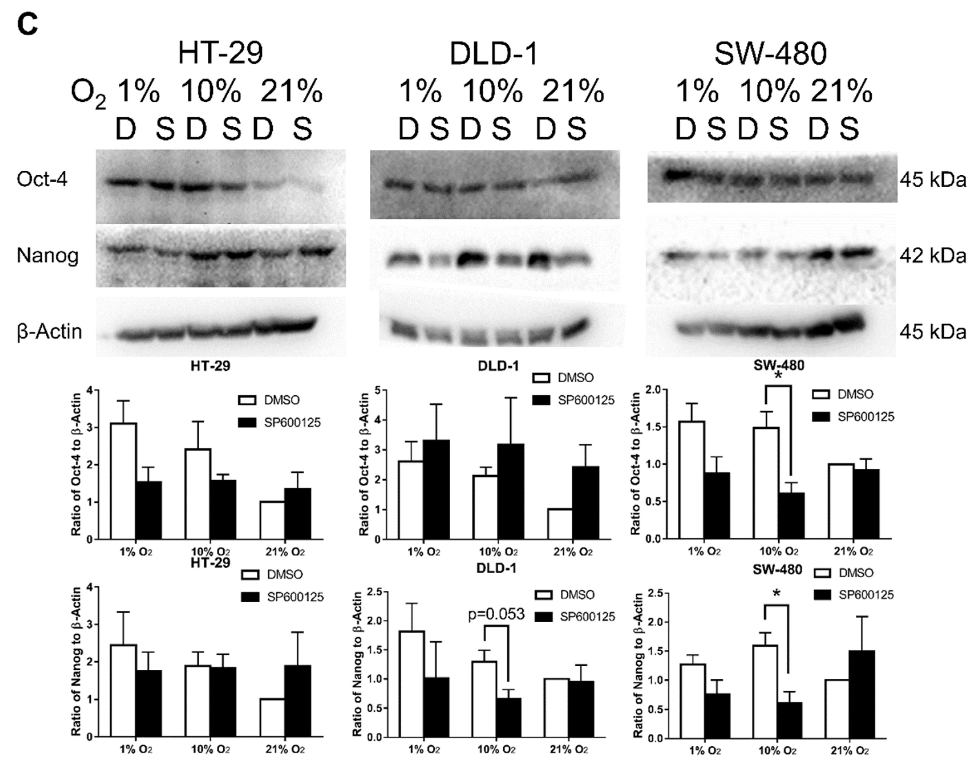 Cancers 12 00224 g006b Cancers 12 00224 g006b