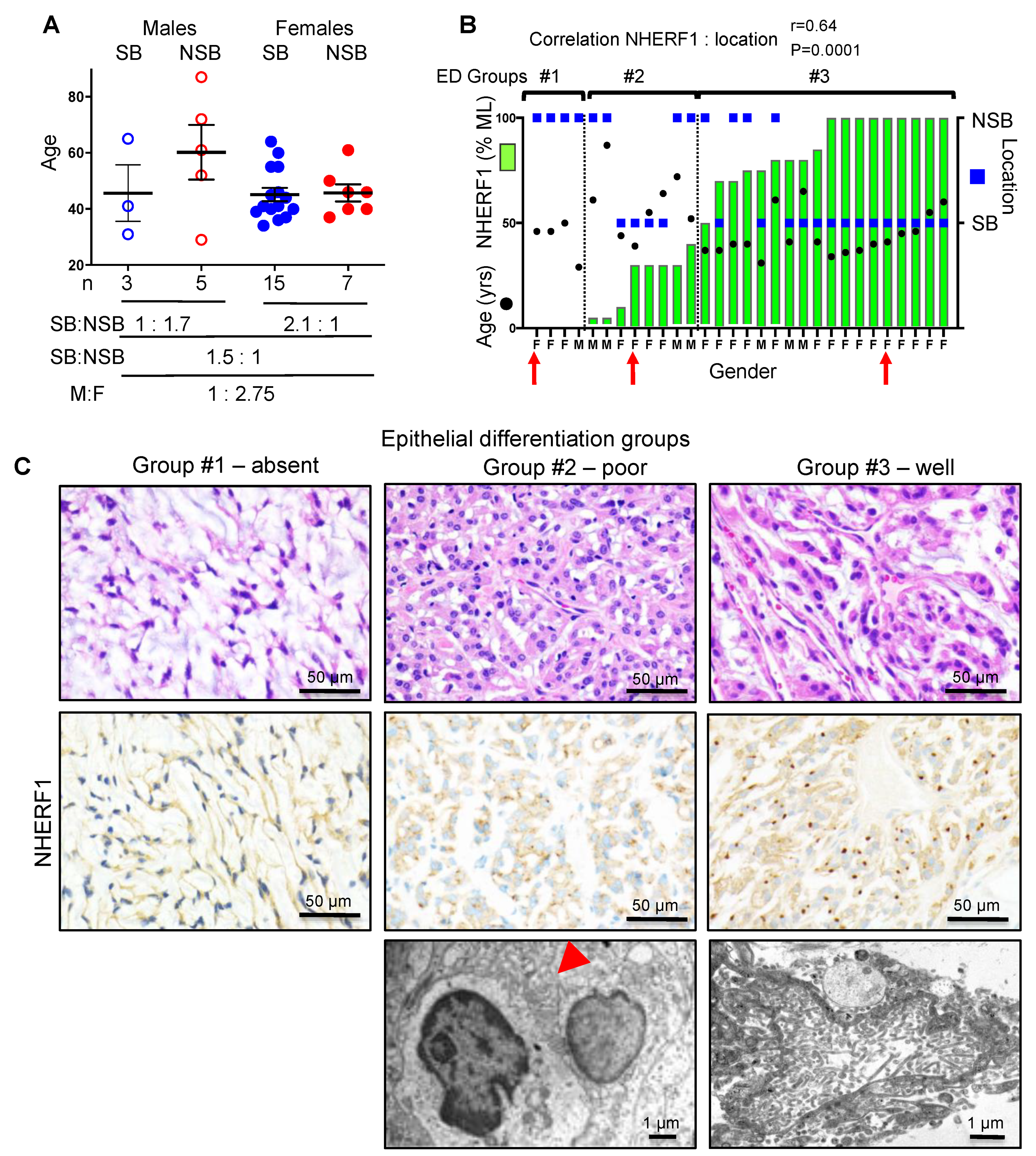 Cancers 12 00225 g001